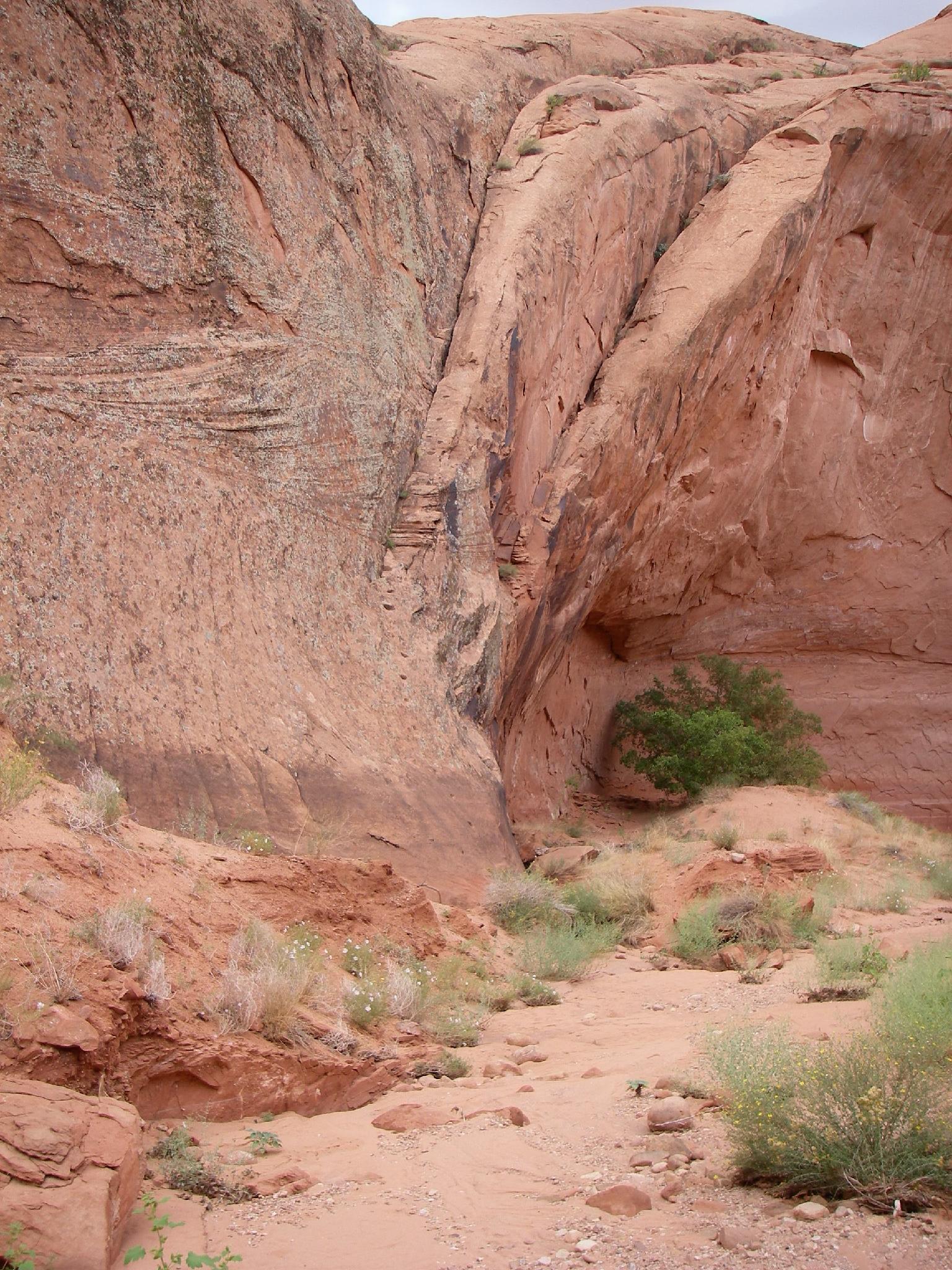 Davis Gulch Hole In The Rock Road Photo Road Trip Ryan