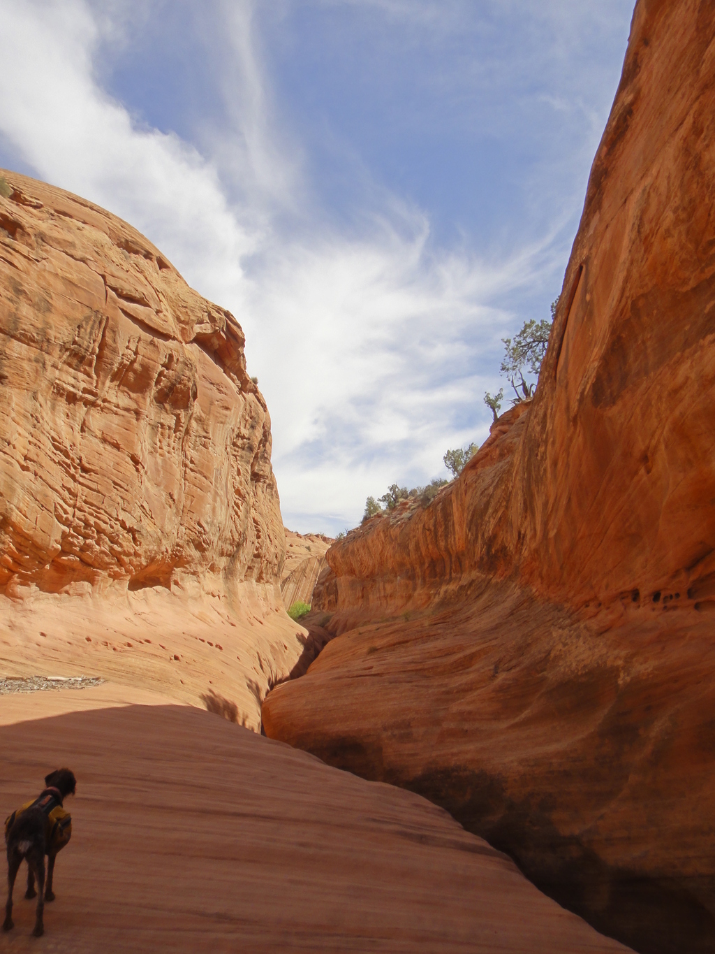 Hiking The Gulch Escalante Road Trip Ryan