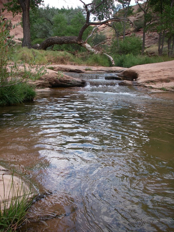 Hiking North Fork of Mill Creek Moab Road Trip Ryan
