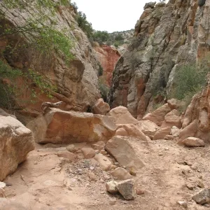 Escalante & Bryce