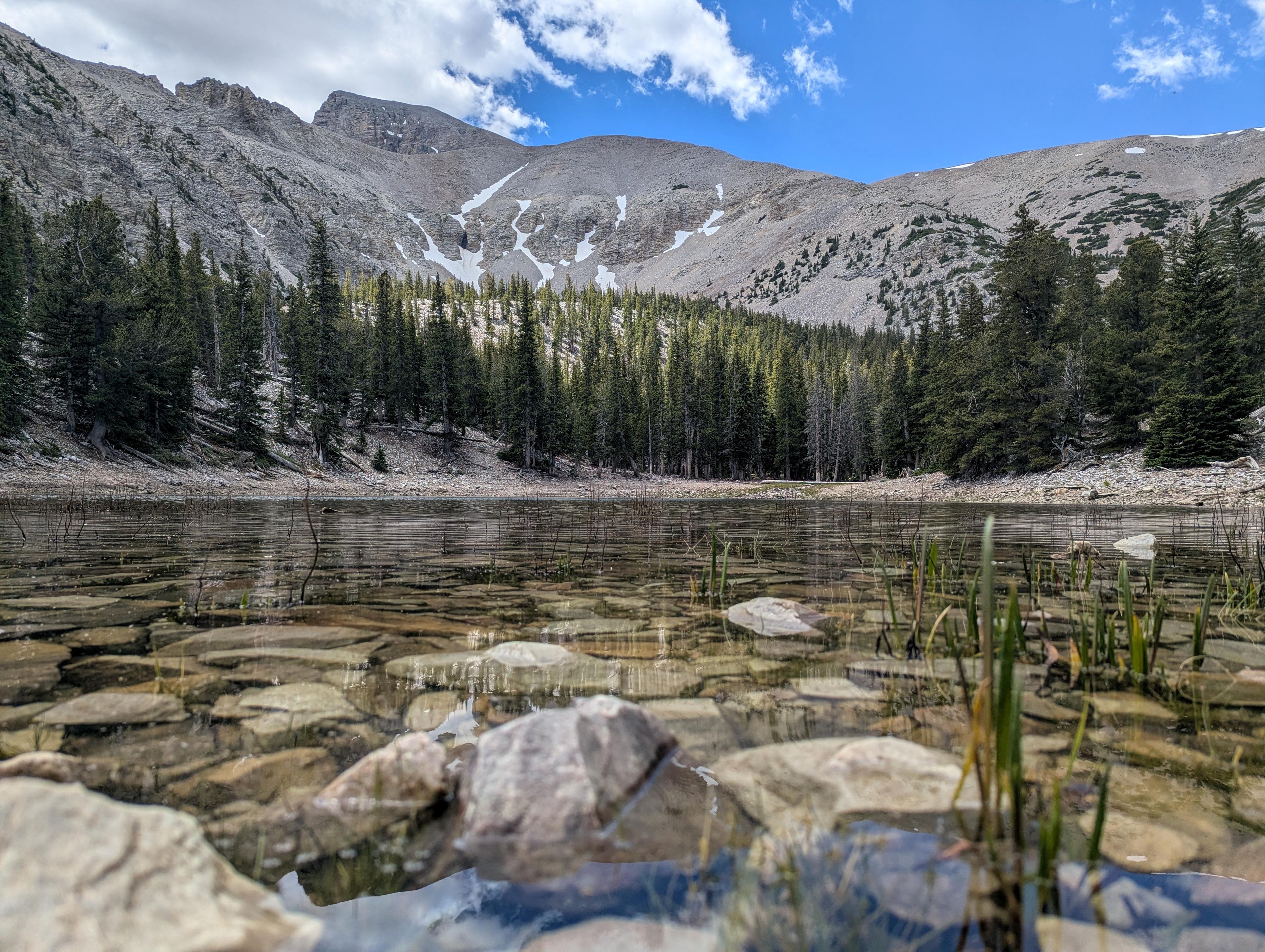 Terea Lake