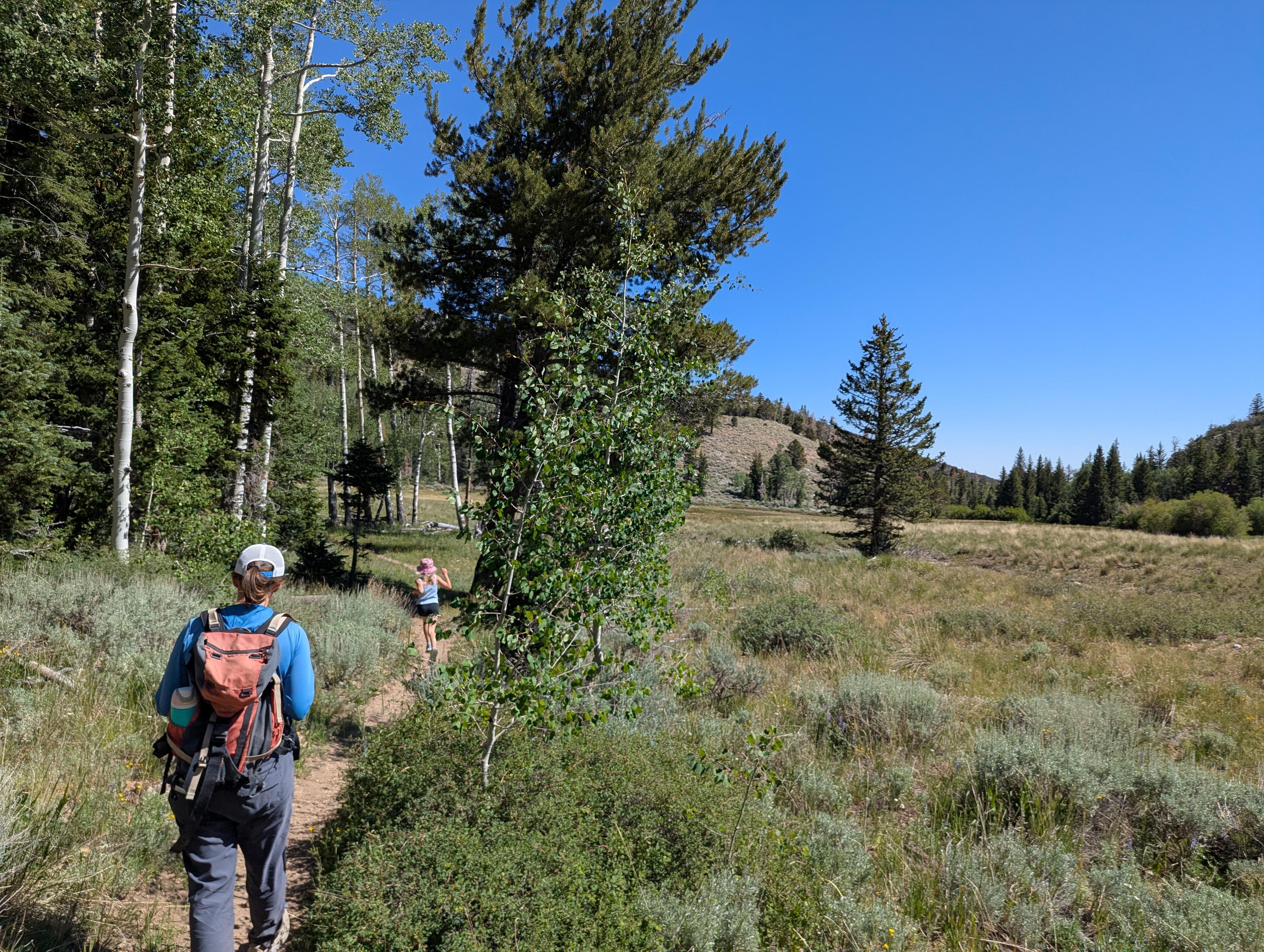 The meadow at the junction in the South Fork of Baker Creek