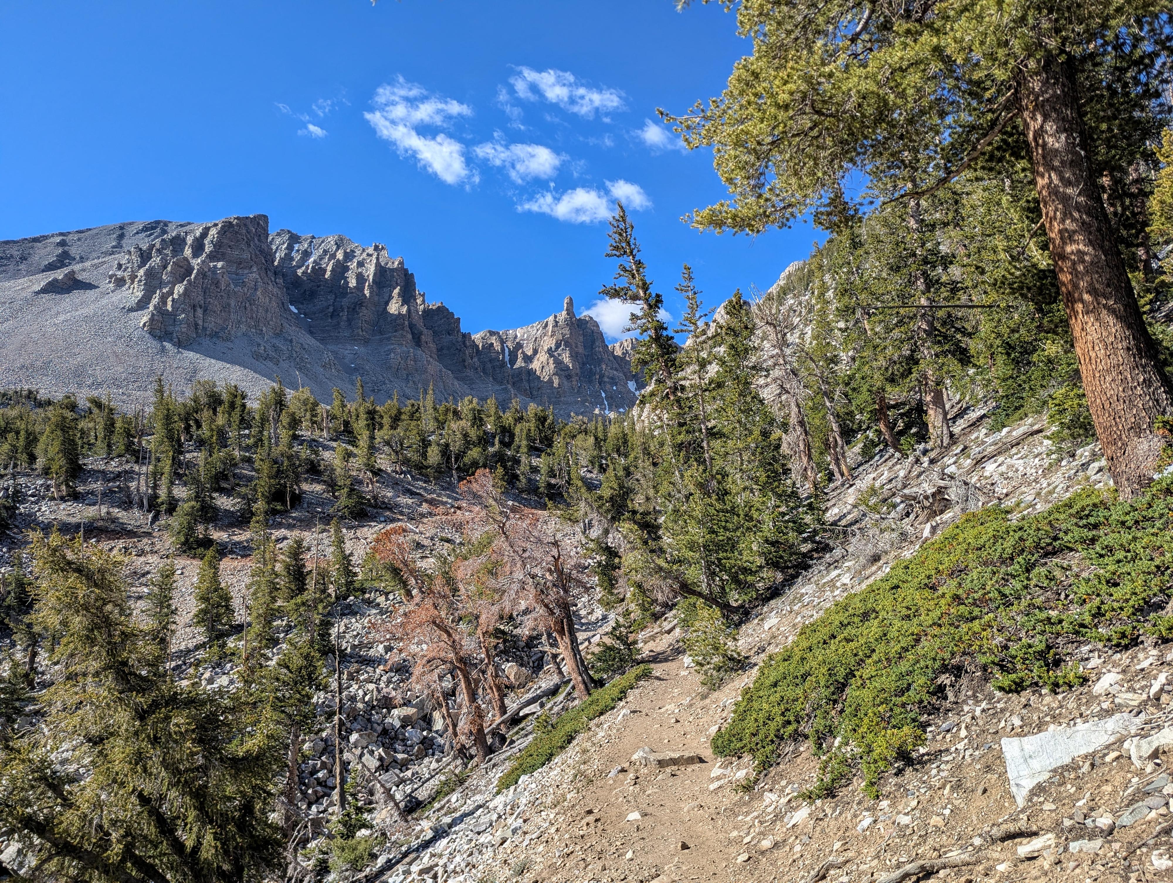 Near the Bristlecone Grove