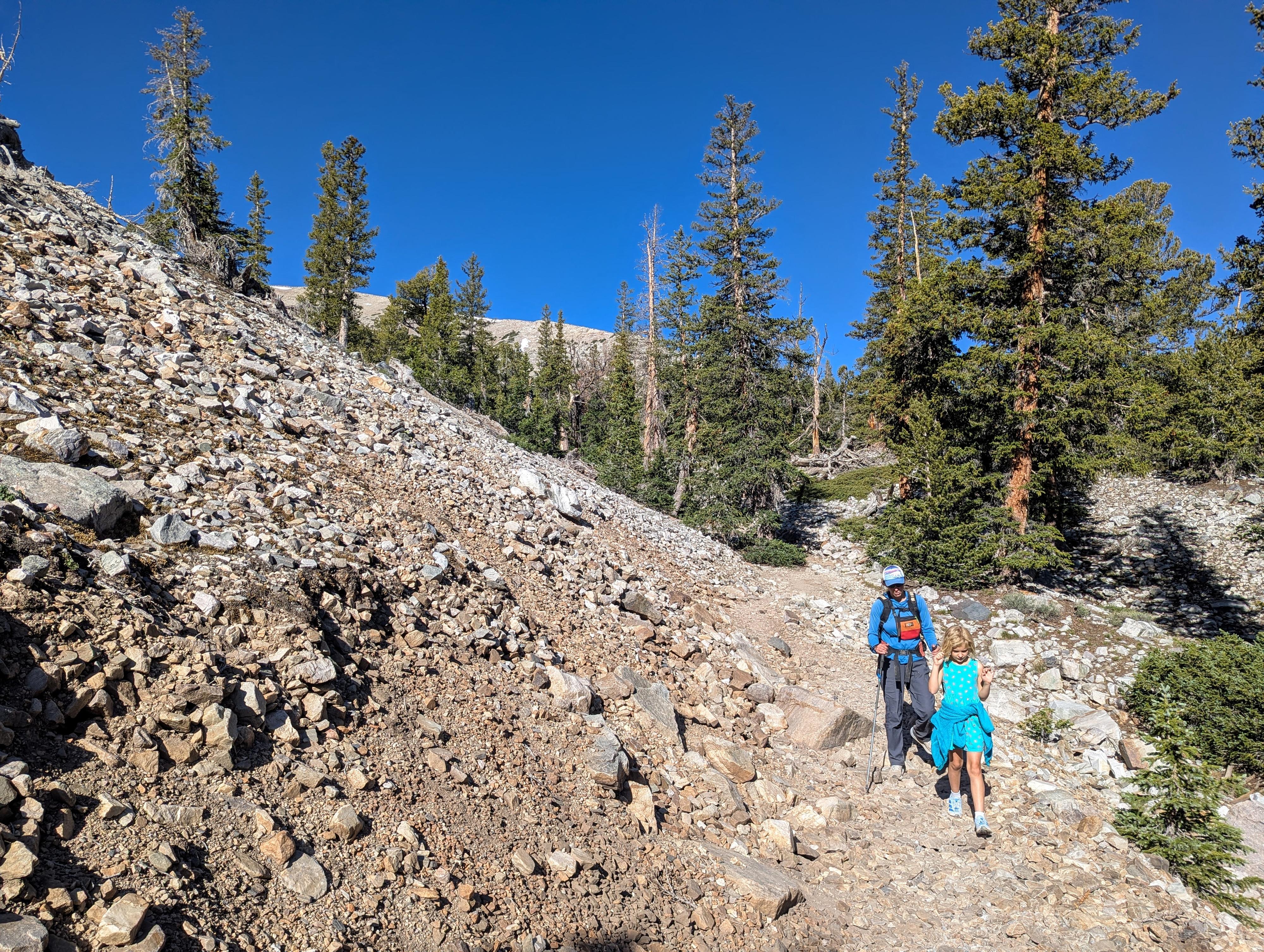 Heading up toward the grove in stunning alpine scenery. 