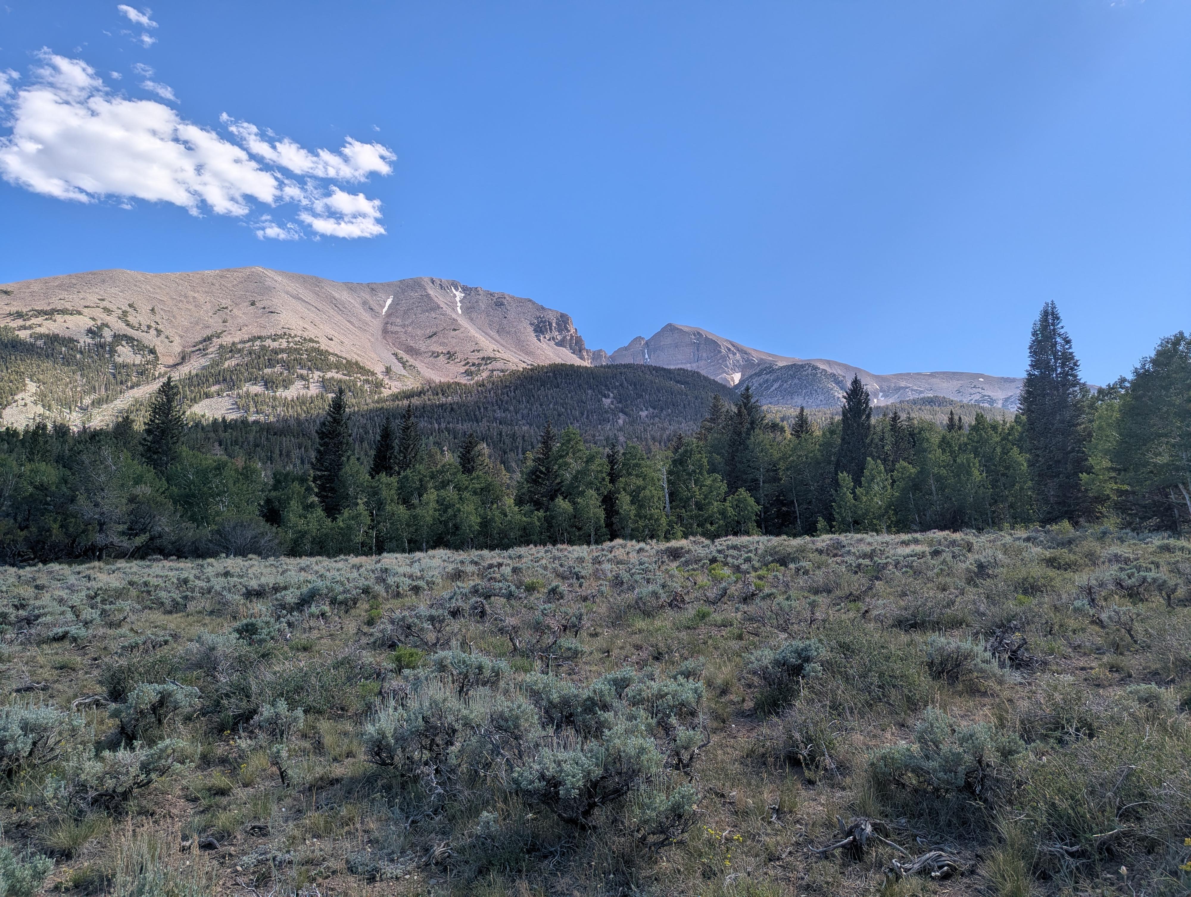 Wide open views on the upper section of the trail. 