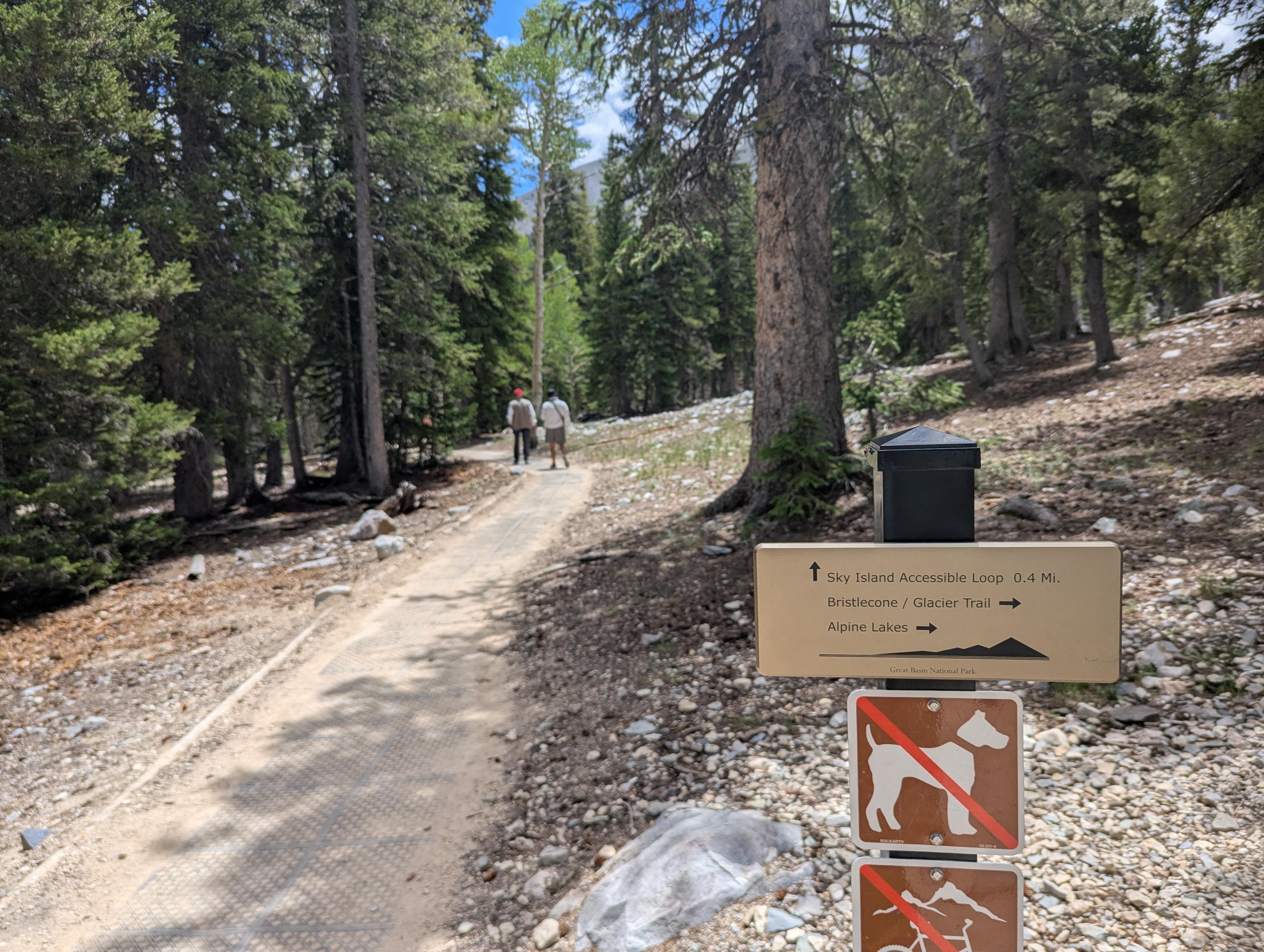 The junction to head to the loop. 