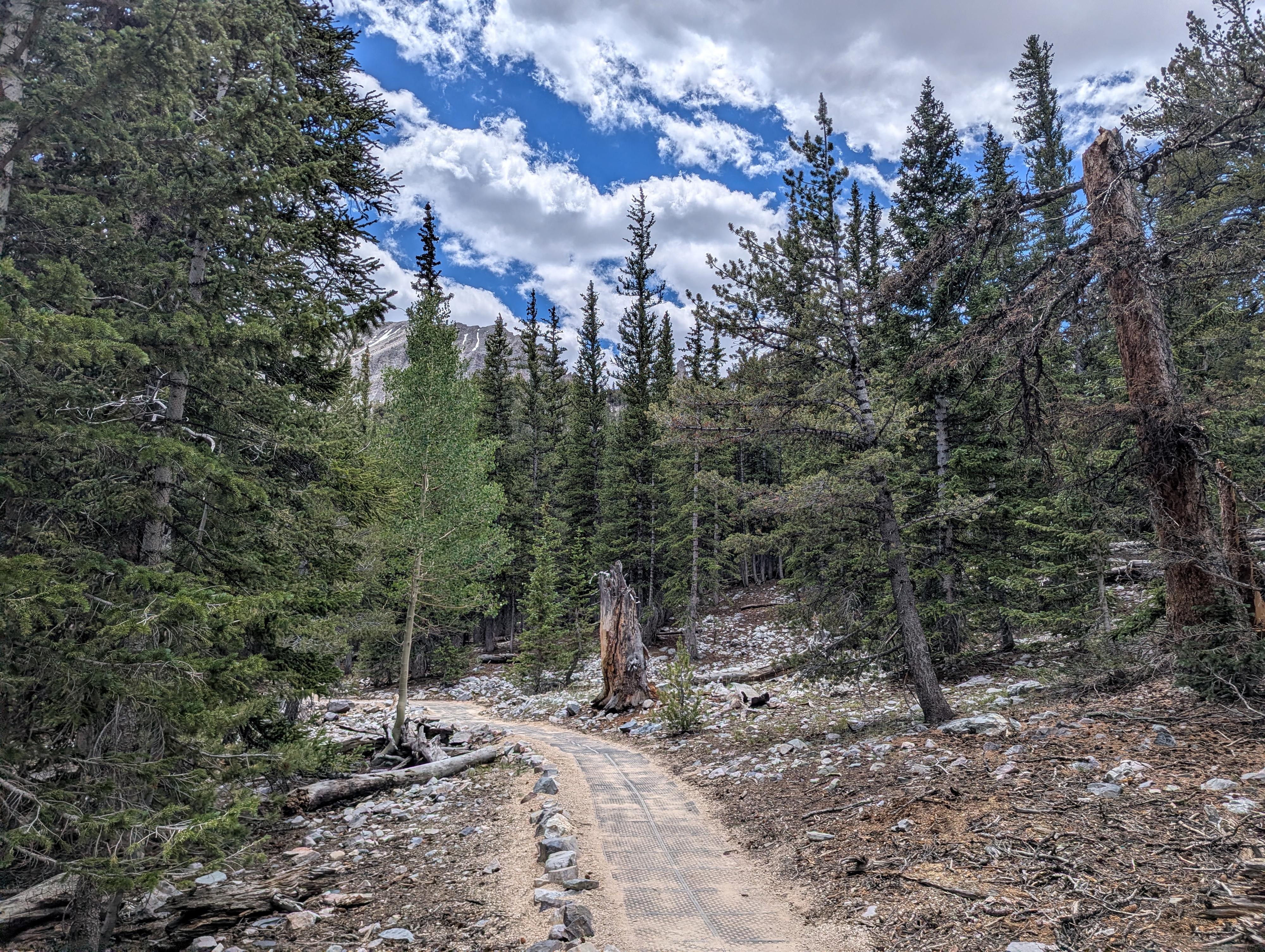 Wheeler Peak just poking above the trees. 
