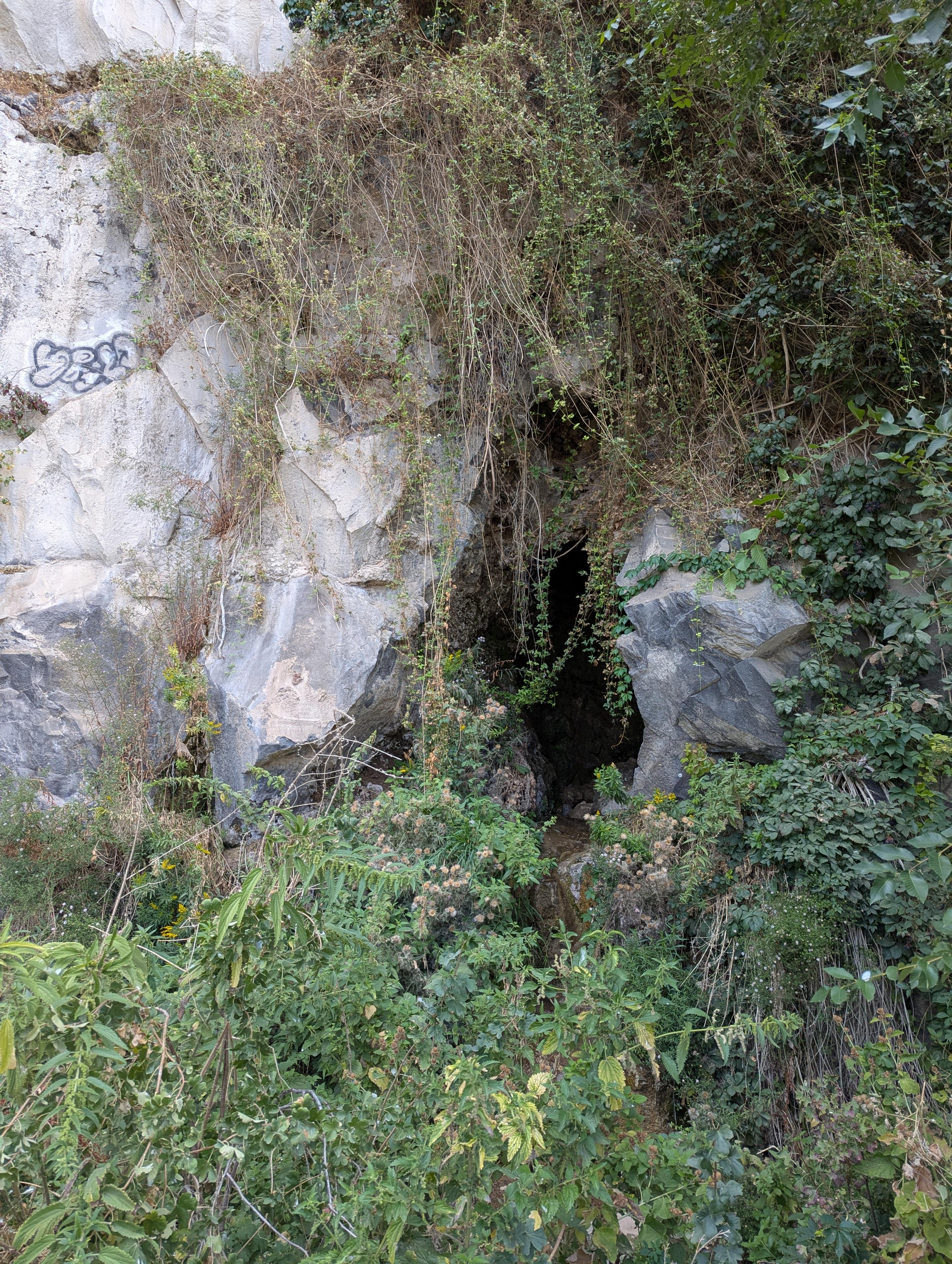 A spring in a cave just a bit west of the falls. 