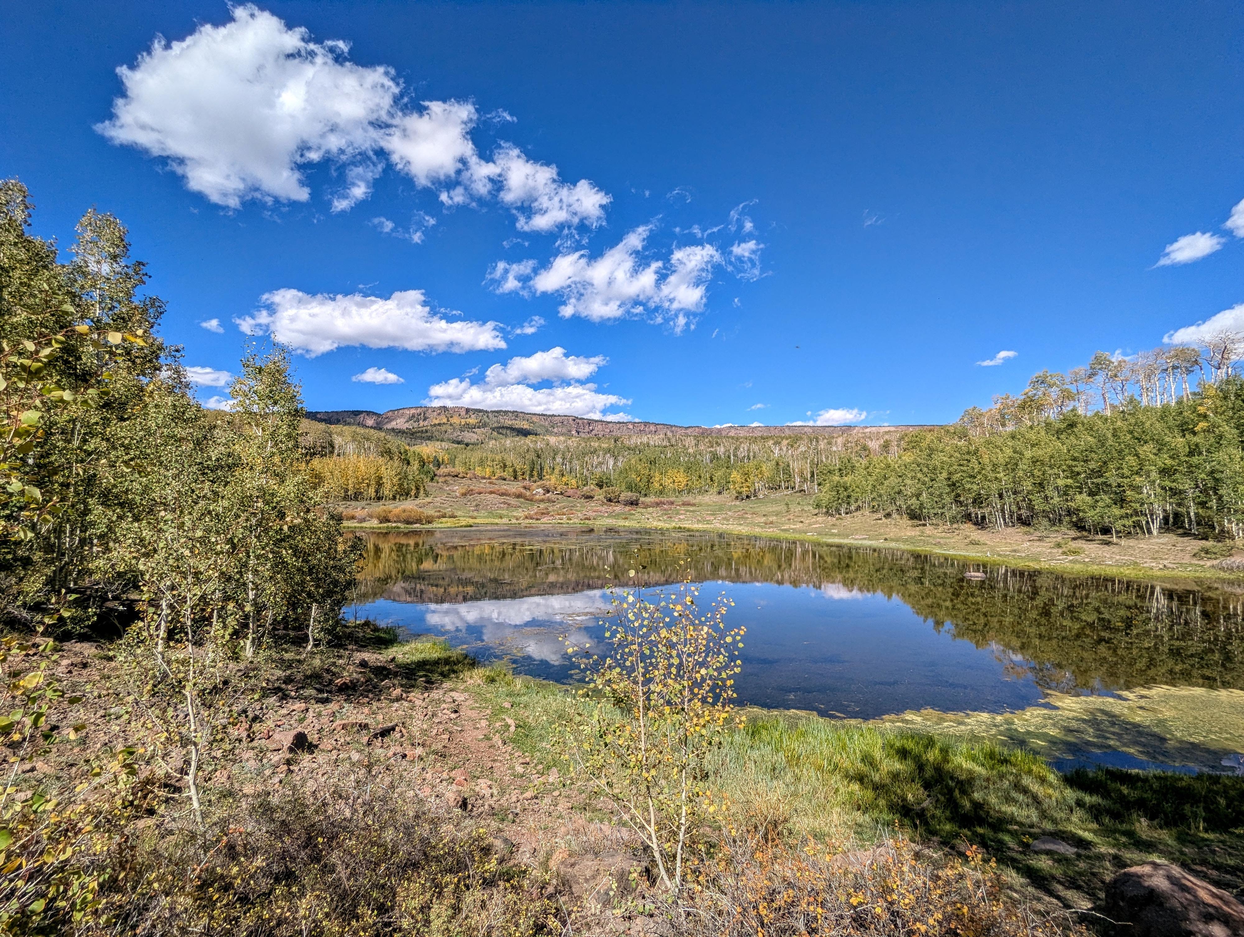 Chriss Lake