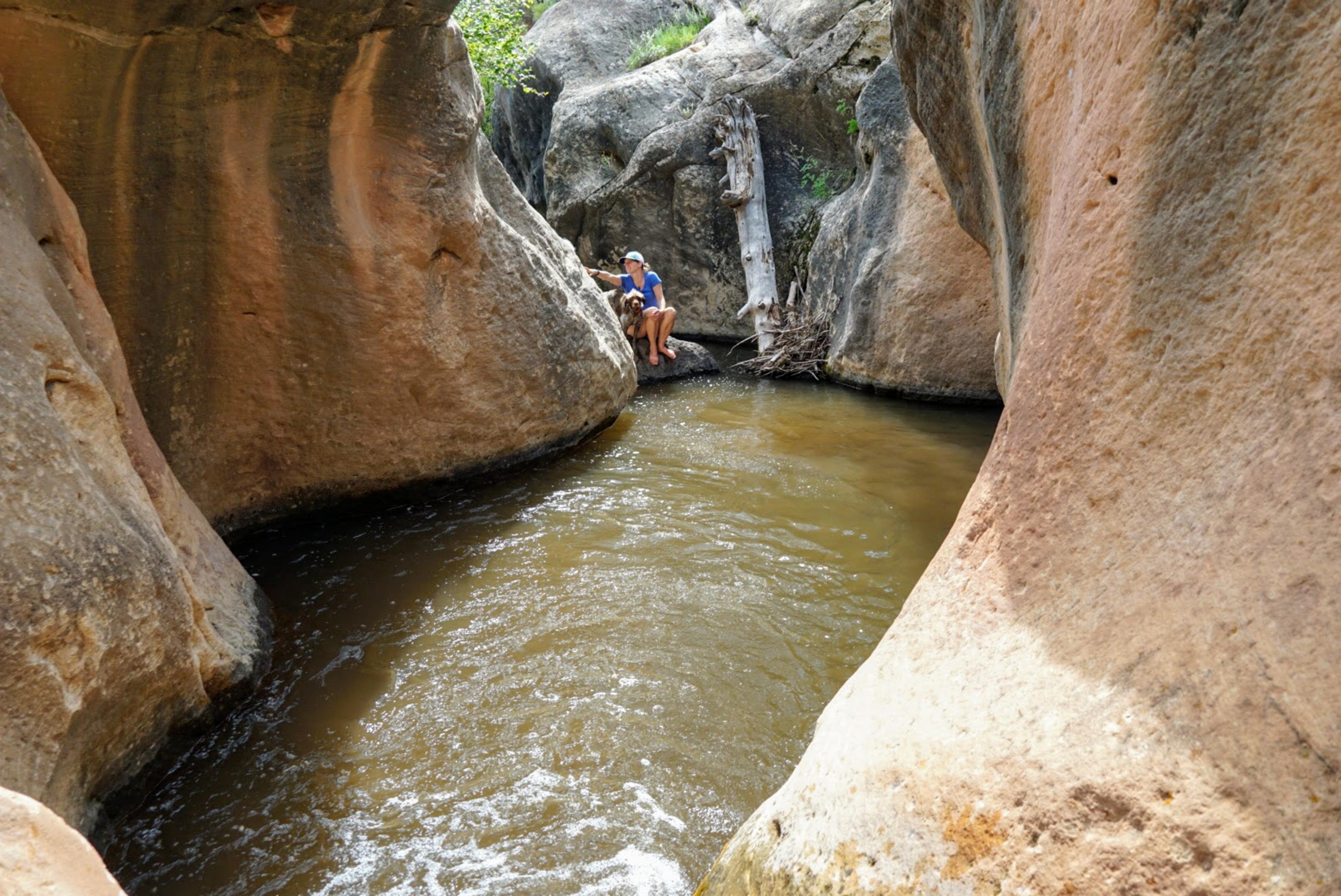 Hiking Lower Pleasant Creek Falls - Boulder Mountain - Road Trip Ryan