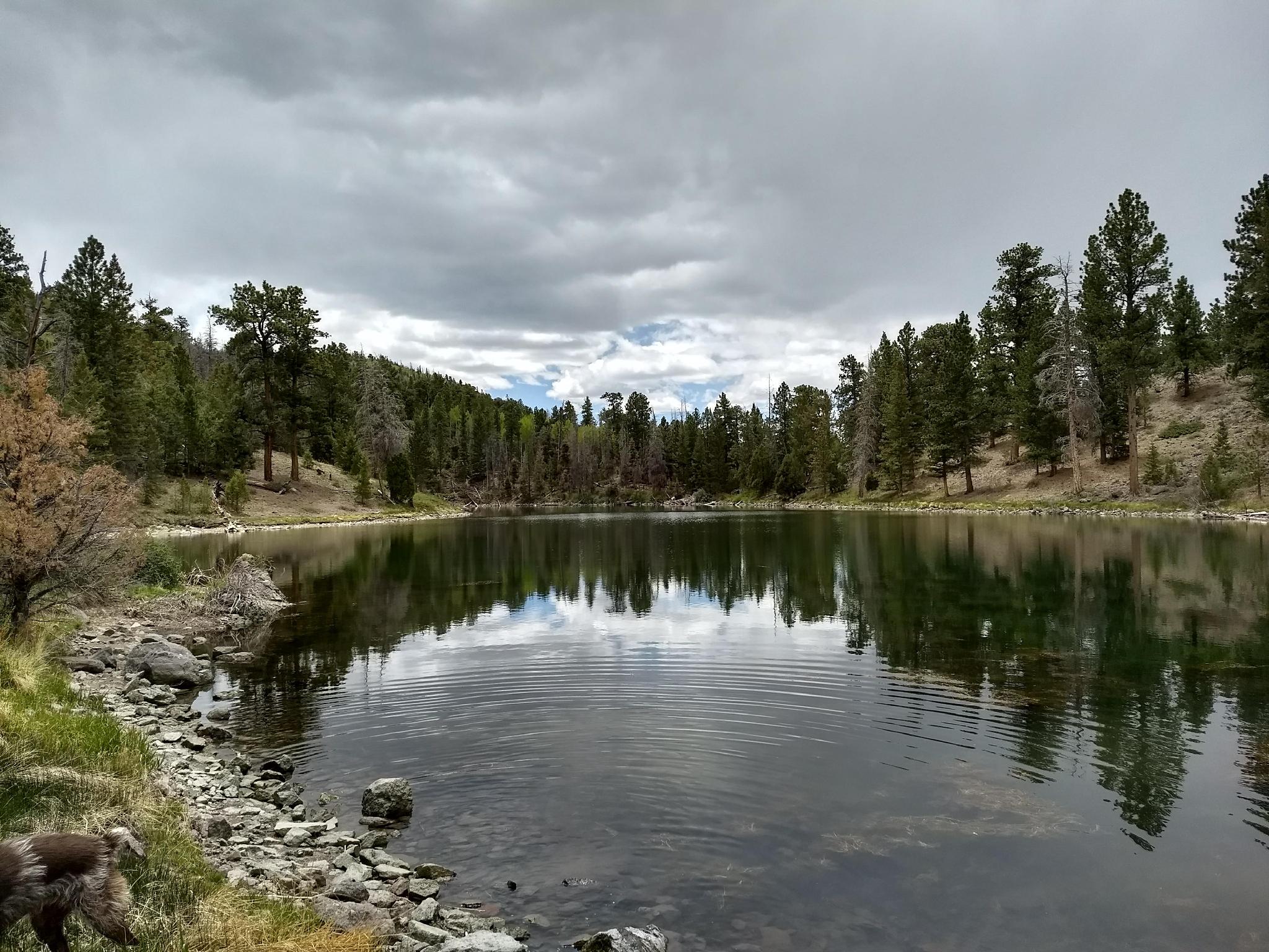 Hiking Pine Creek Boulder Mountain Road Trip Ryan