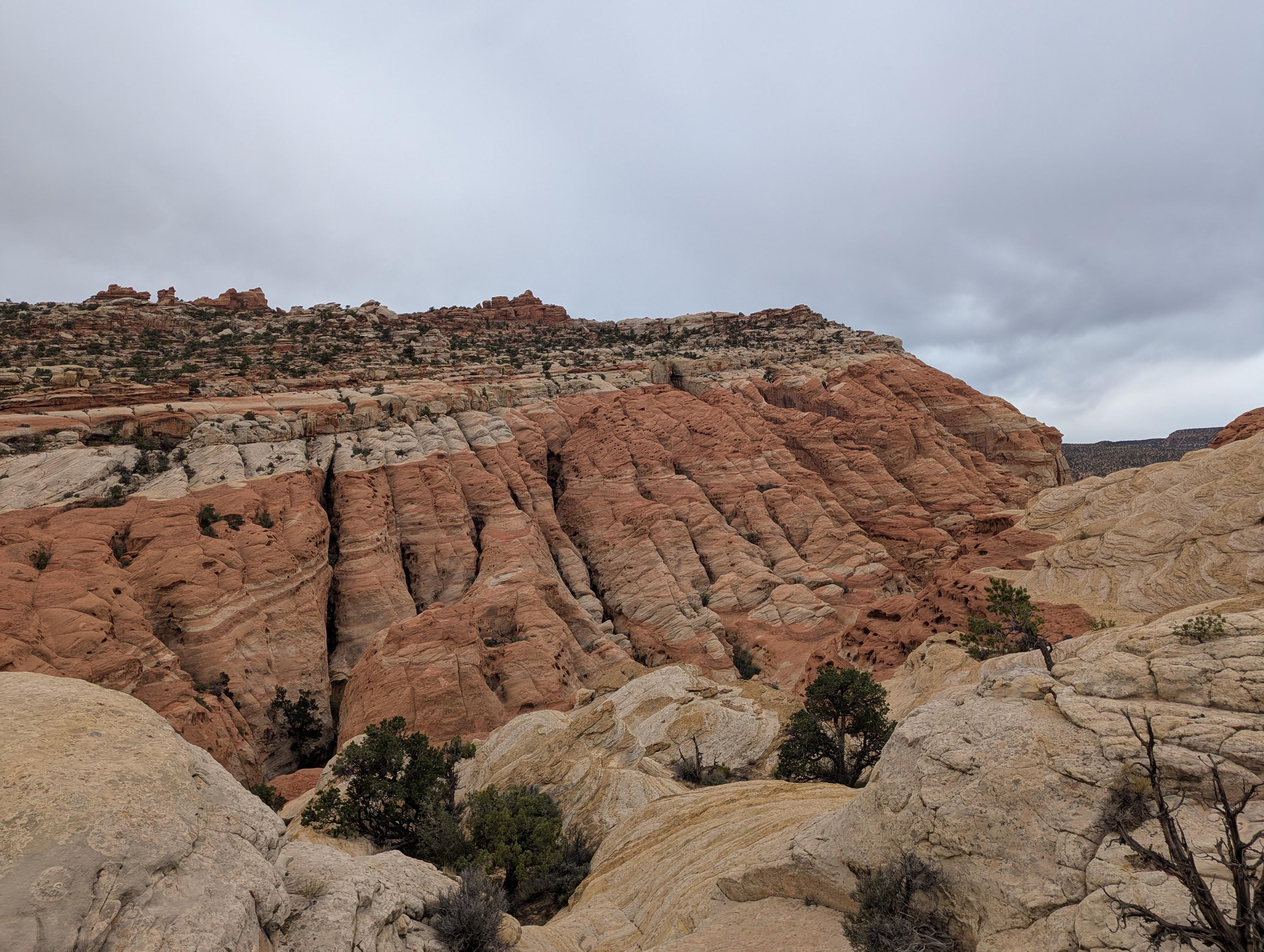 Cohab Canyon from the south overlook. 
