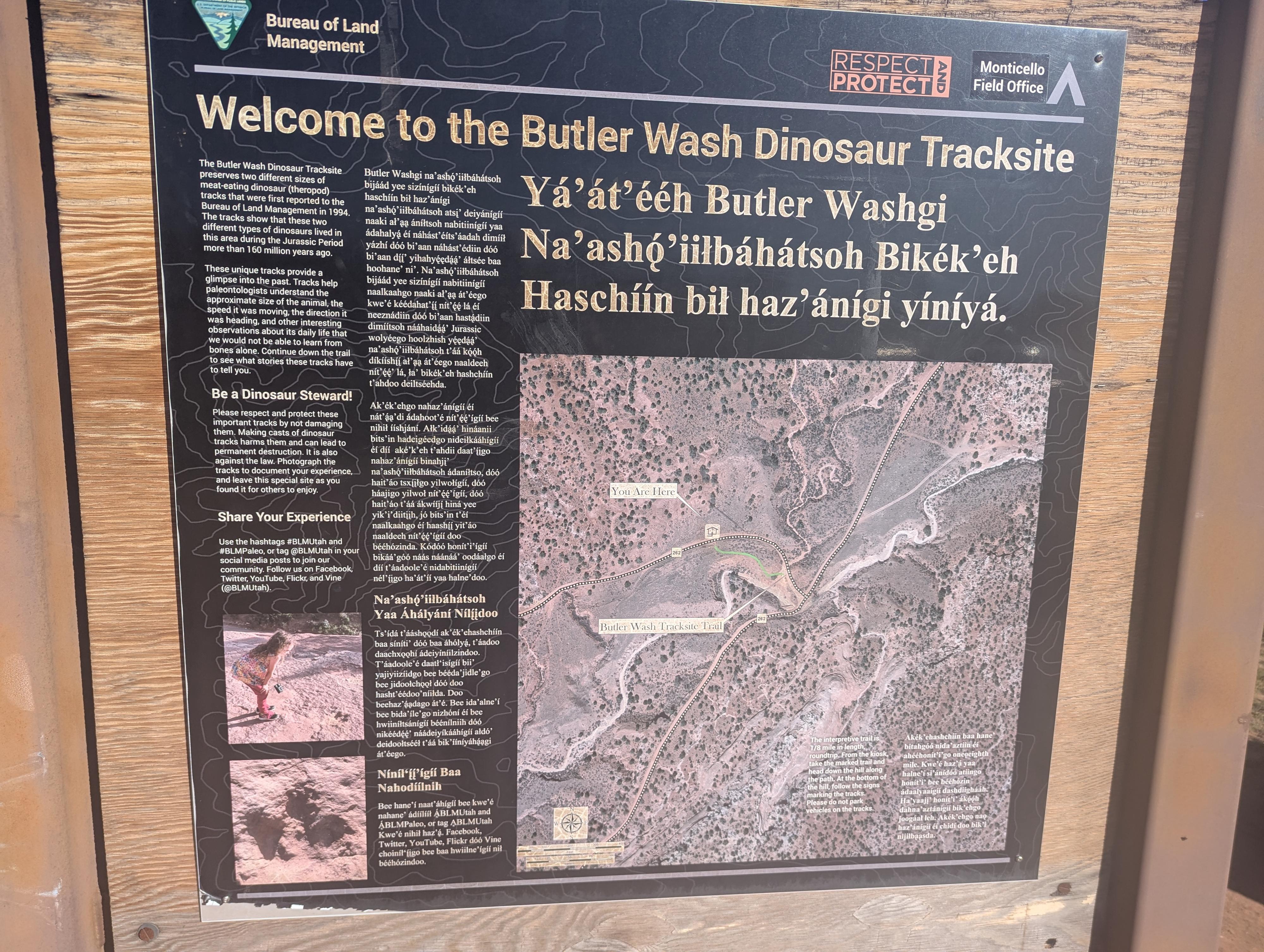 The trailhead sign. 
