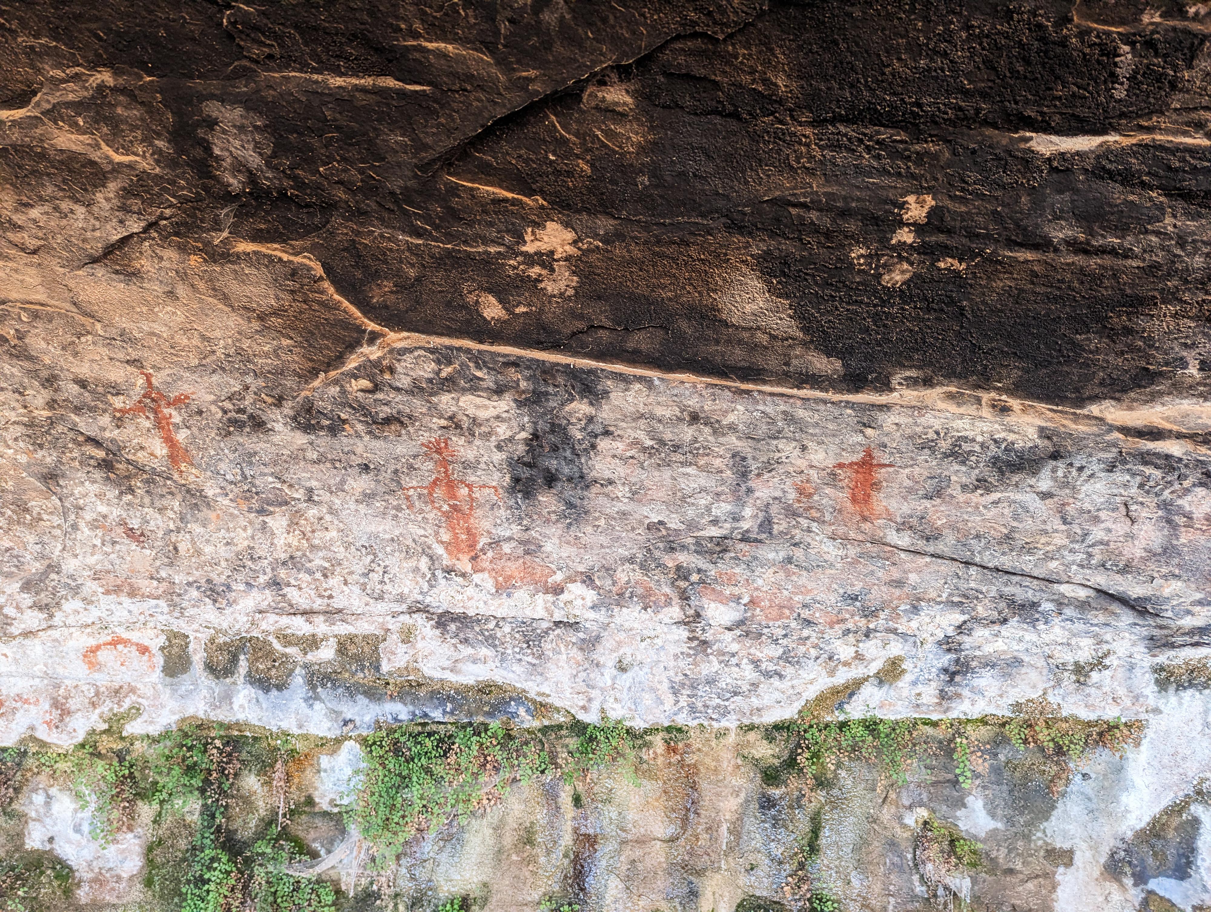 Rock art at Cave Spring