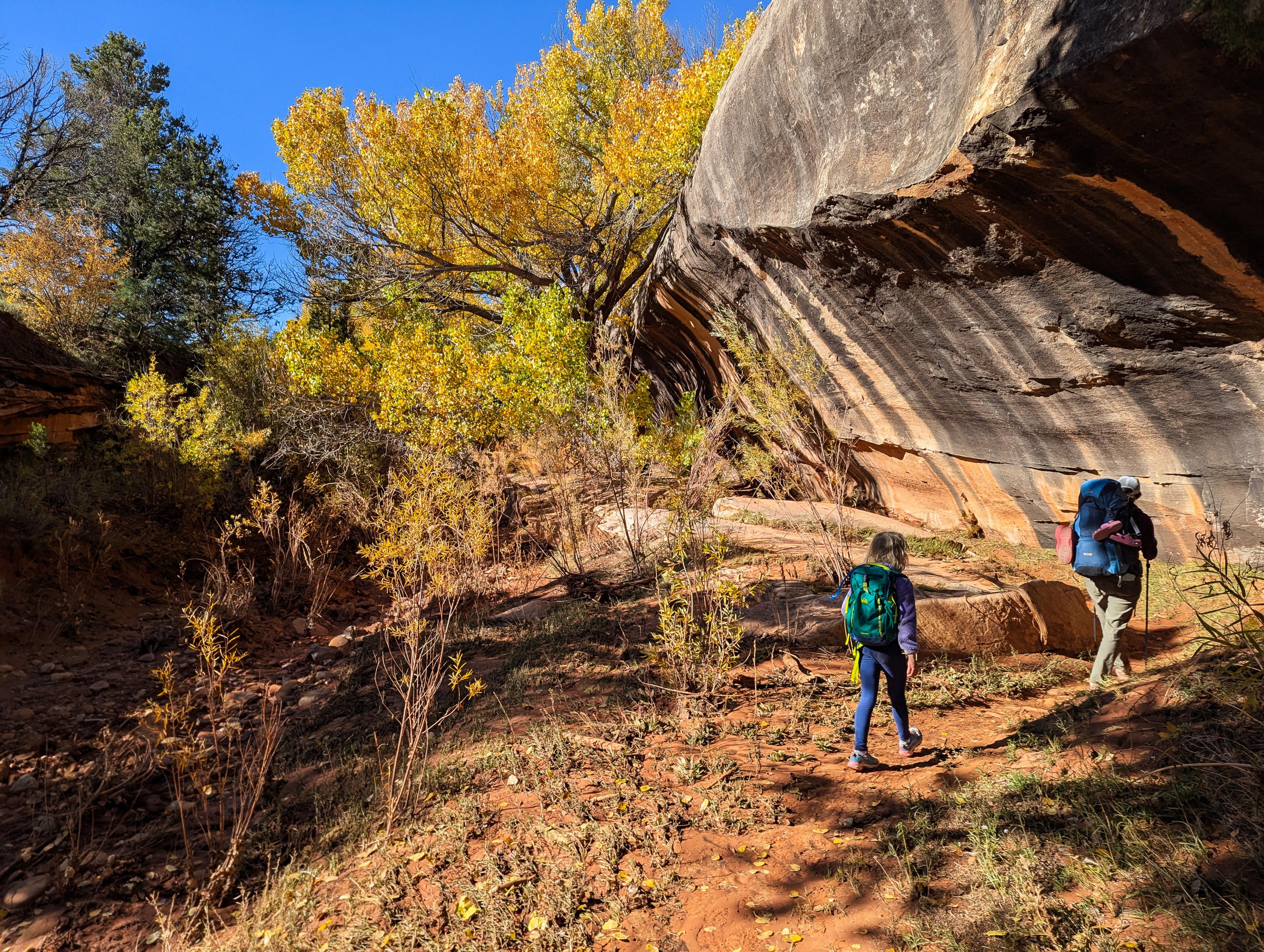 Fall colors in Kane Gulch (mid-October)
