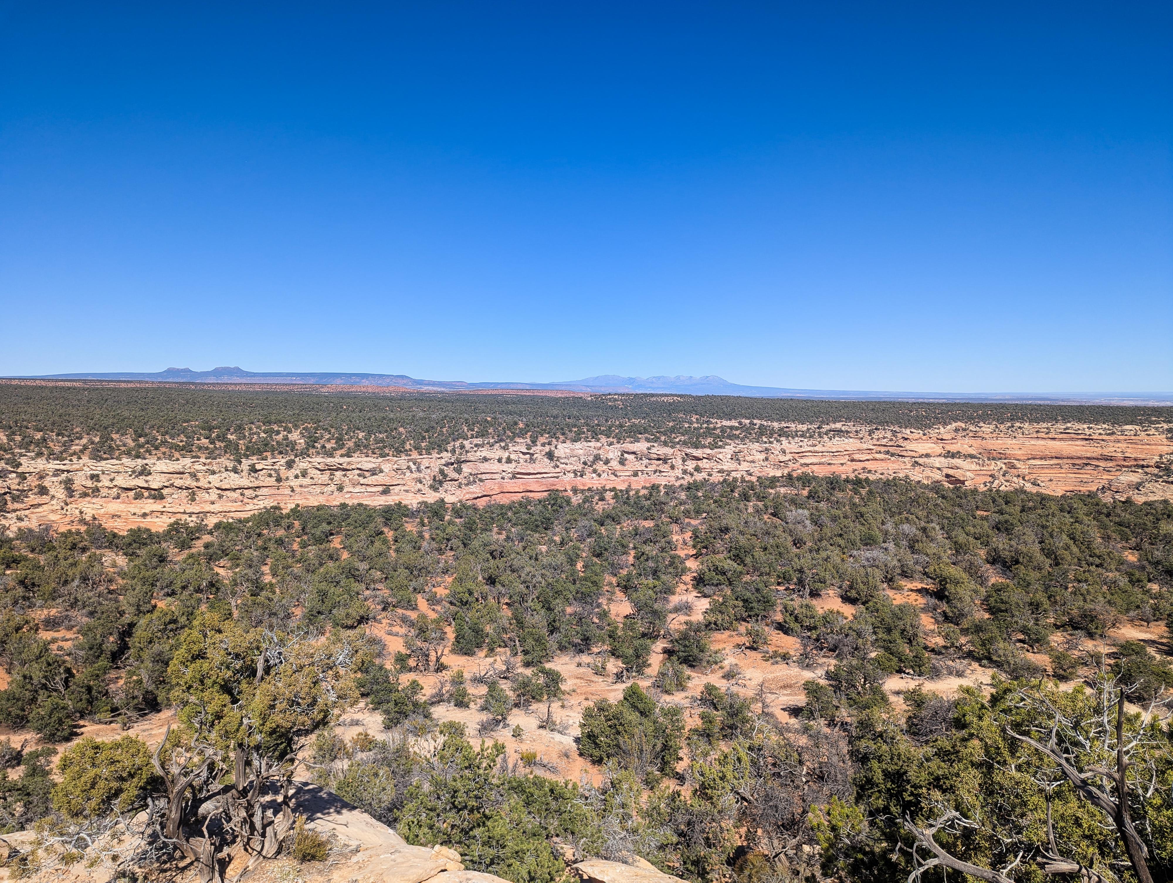 Lime Creek Canyon in the foreground. Bears Ears in the background on the left. Abajo Mountains in the background on the right.