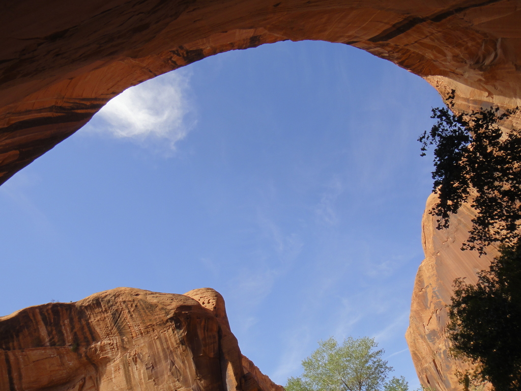 Hiking The Gulch Escalante Road Trip Ryan