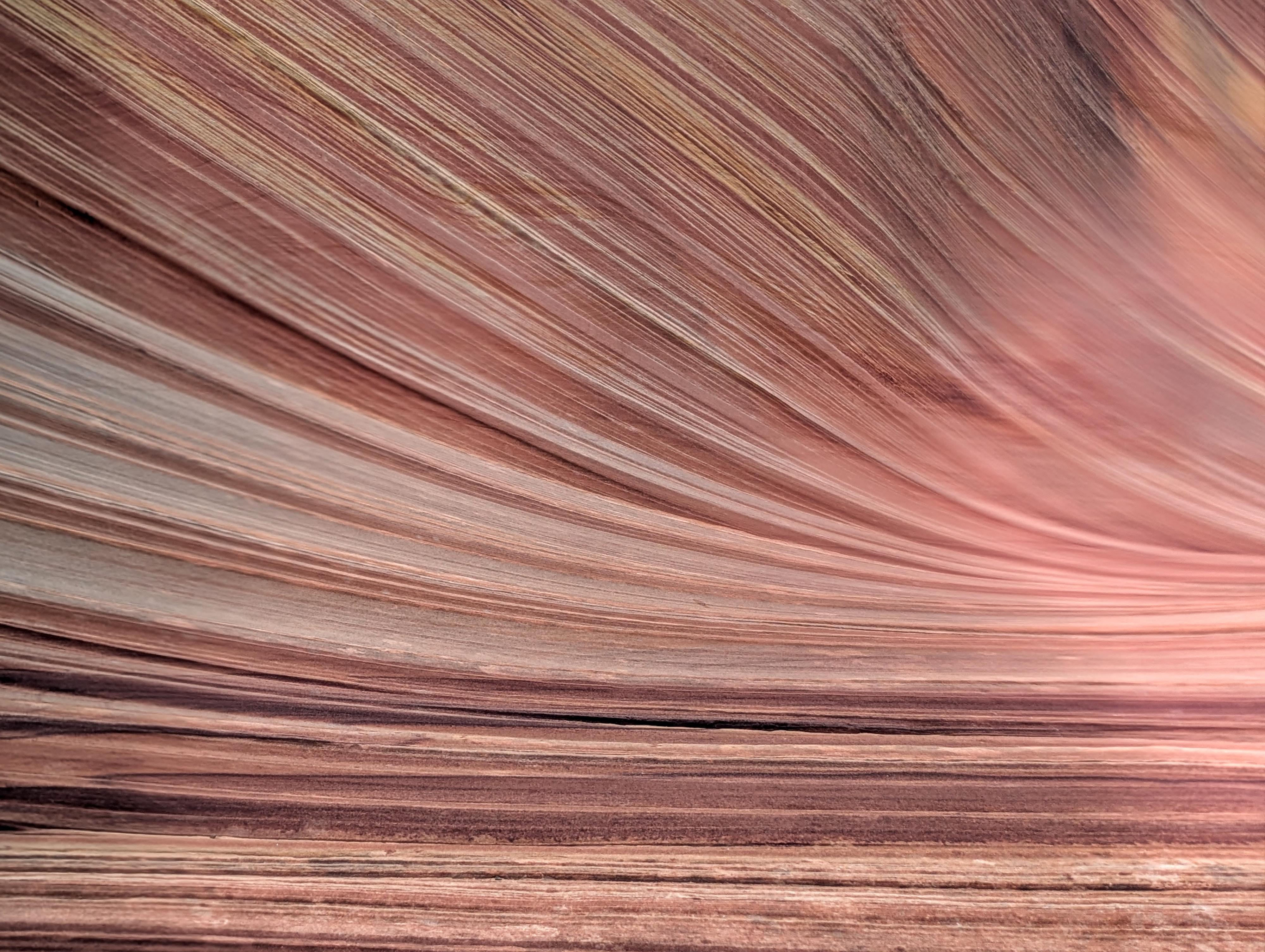 Close-up of the fantastic lines at the Wave