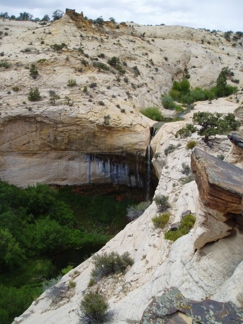 Upper calf creek falls hike hotsell