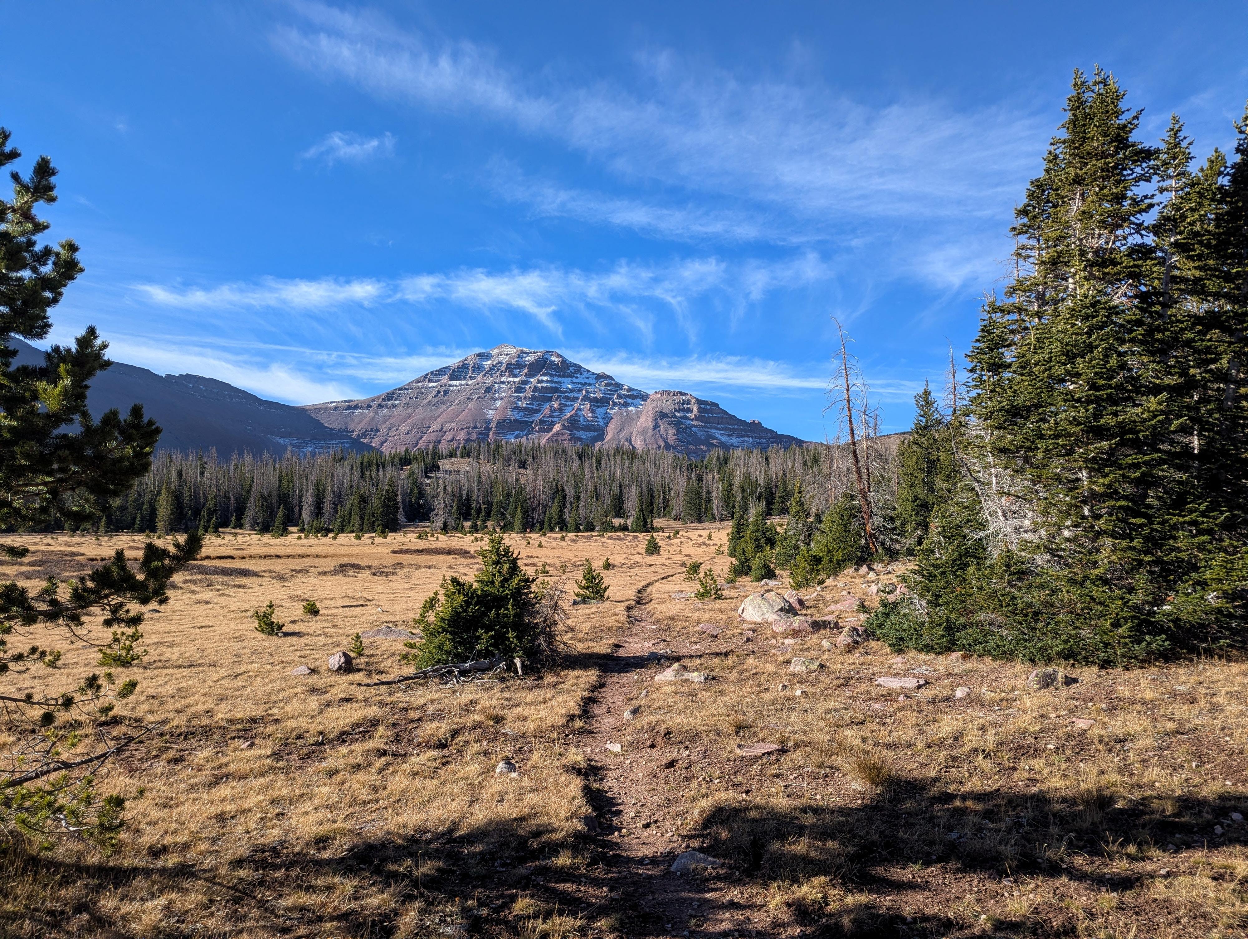 Mt. Lovenia from the upper basin. 