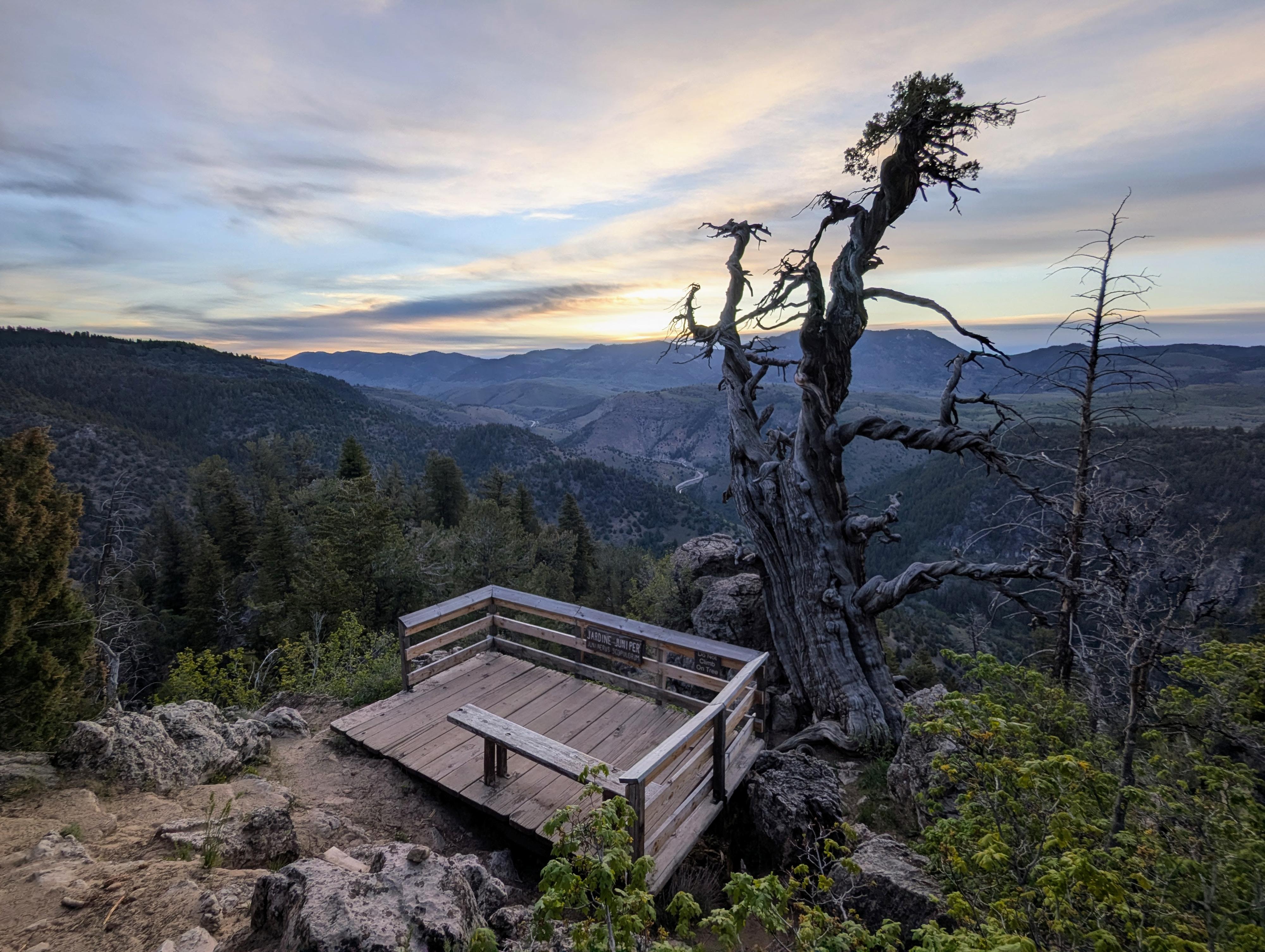 Sunrise at Jardine Juniper in Logan Canyon