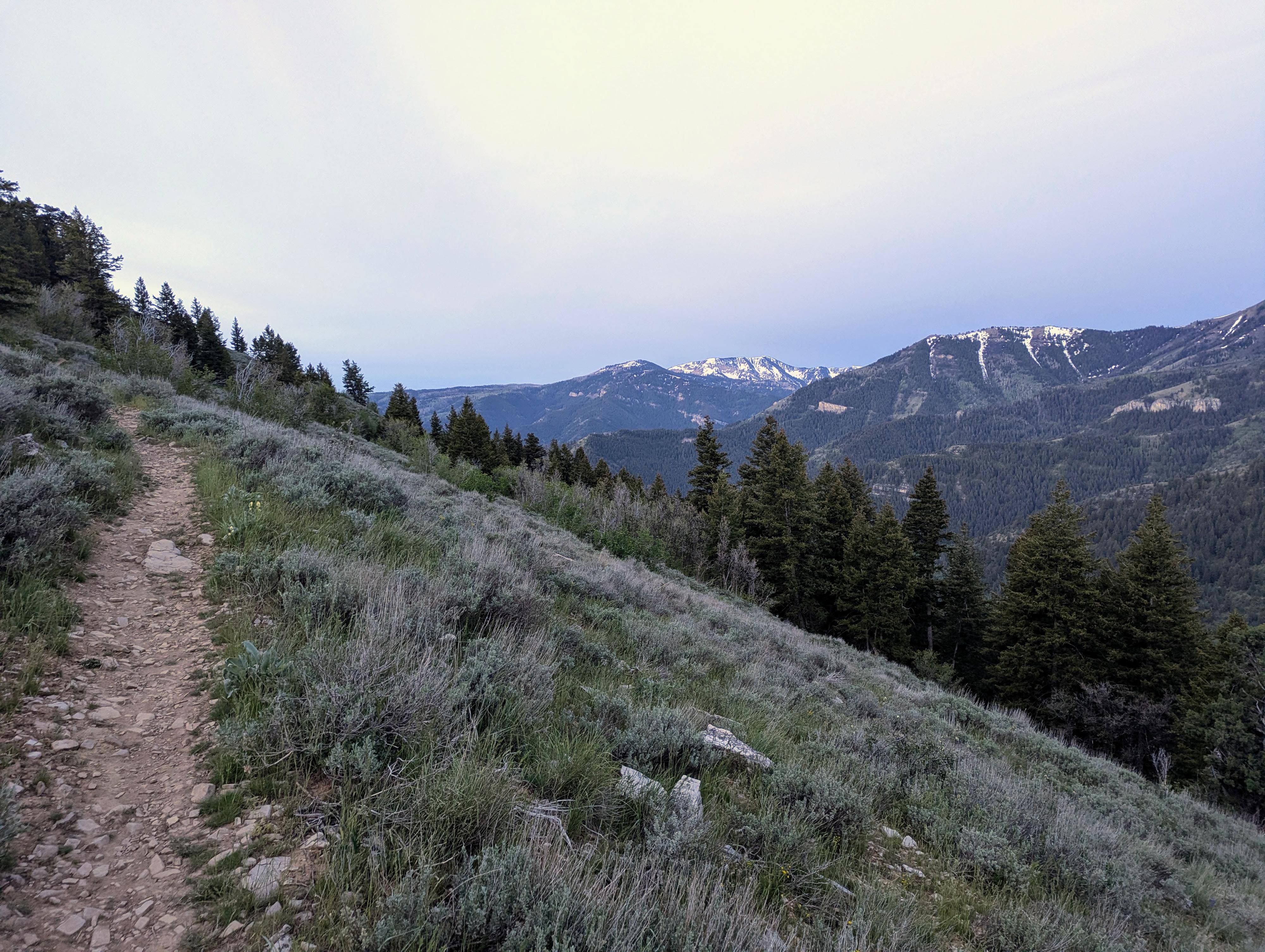 Views from the Scenic Way of the loop. 