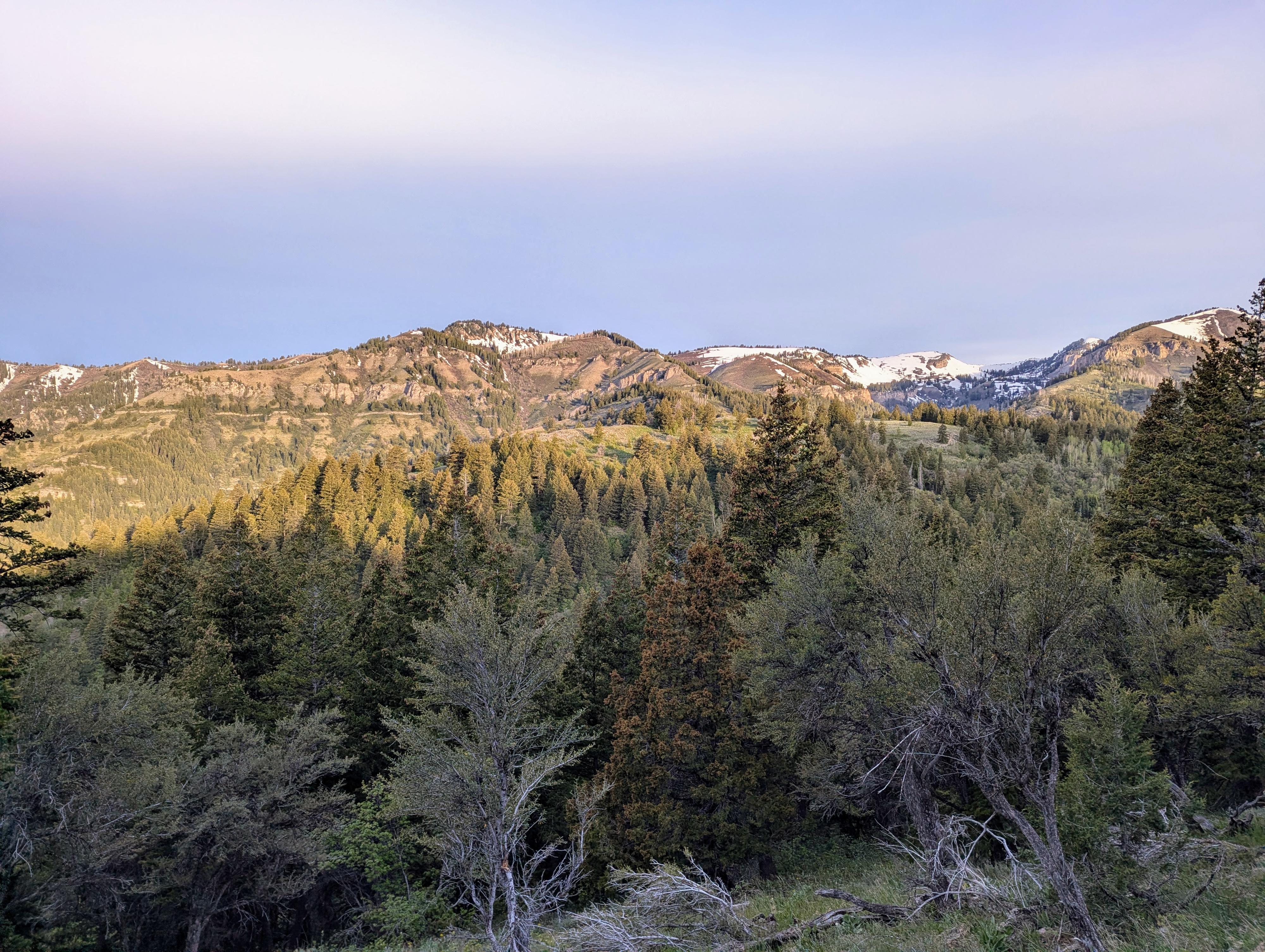 Morning light on the snowy mountains in May