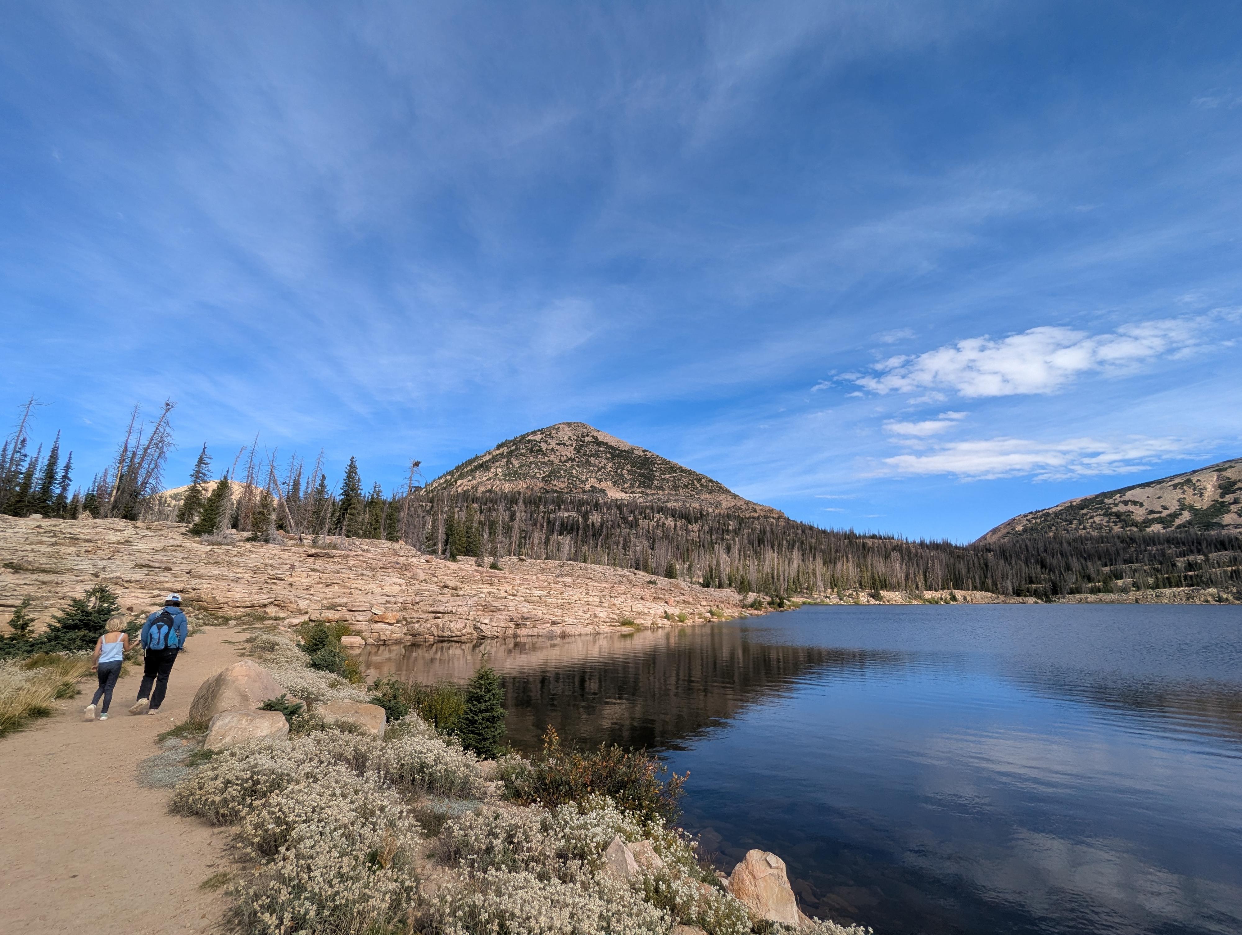 Along Long Lake