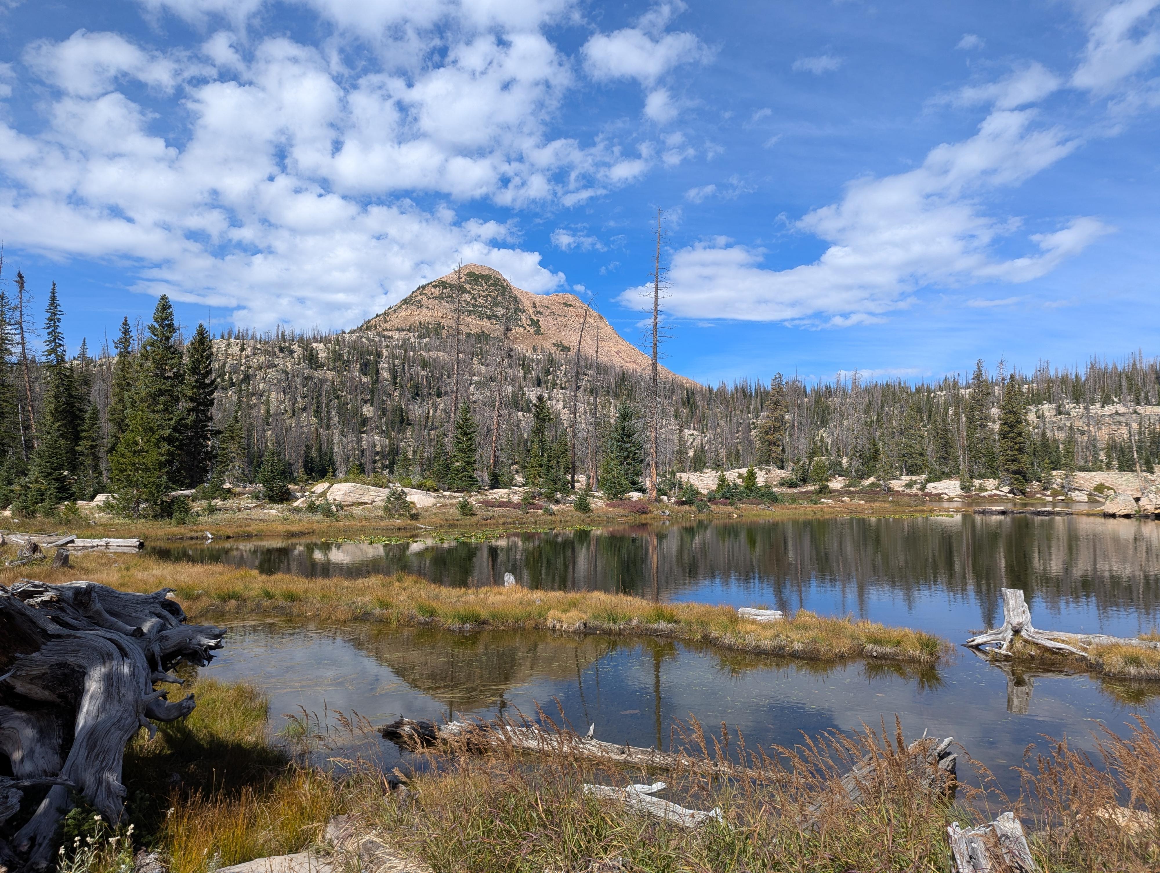 Island Lake