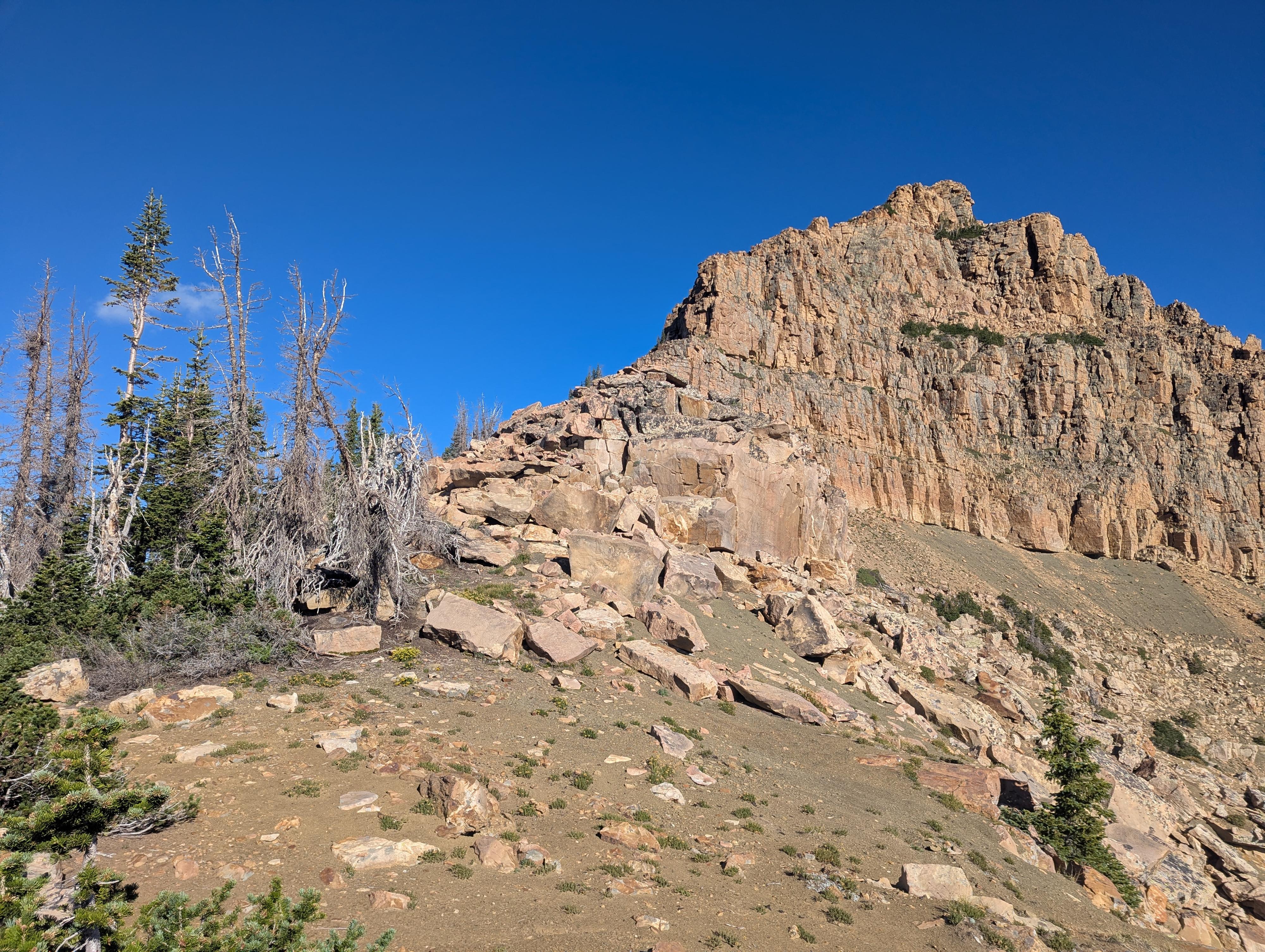 The craggy upper ridge of Reids Peak. The trail easily bypasses this on the south (left) side. 