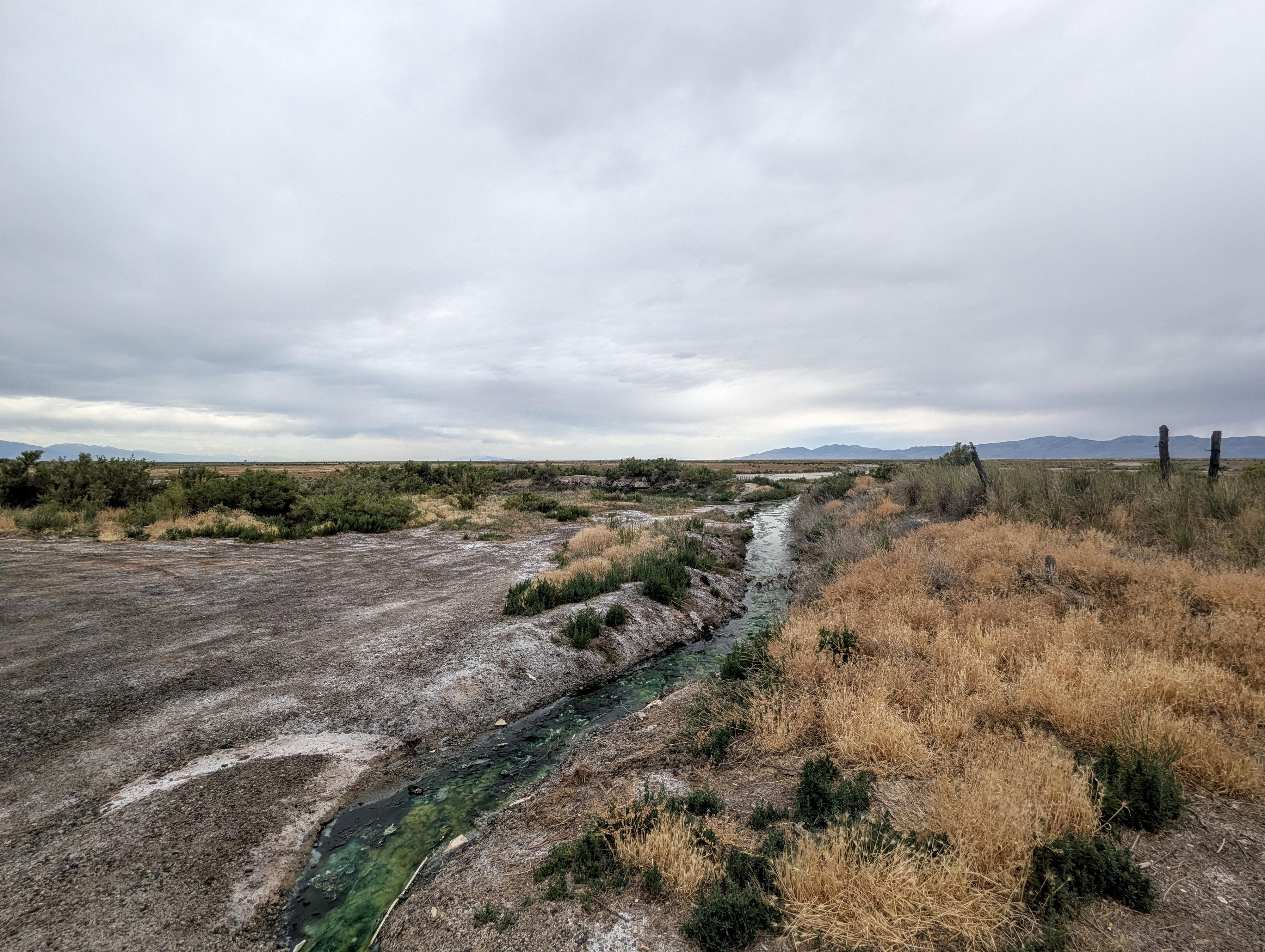 The outlet from the springs. 