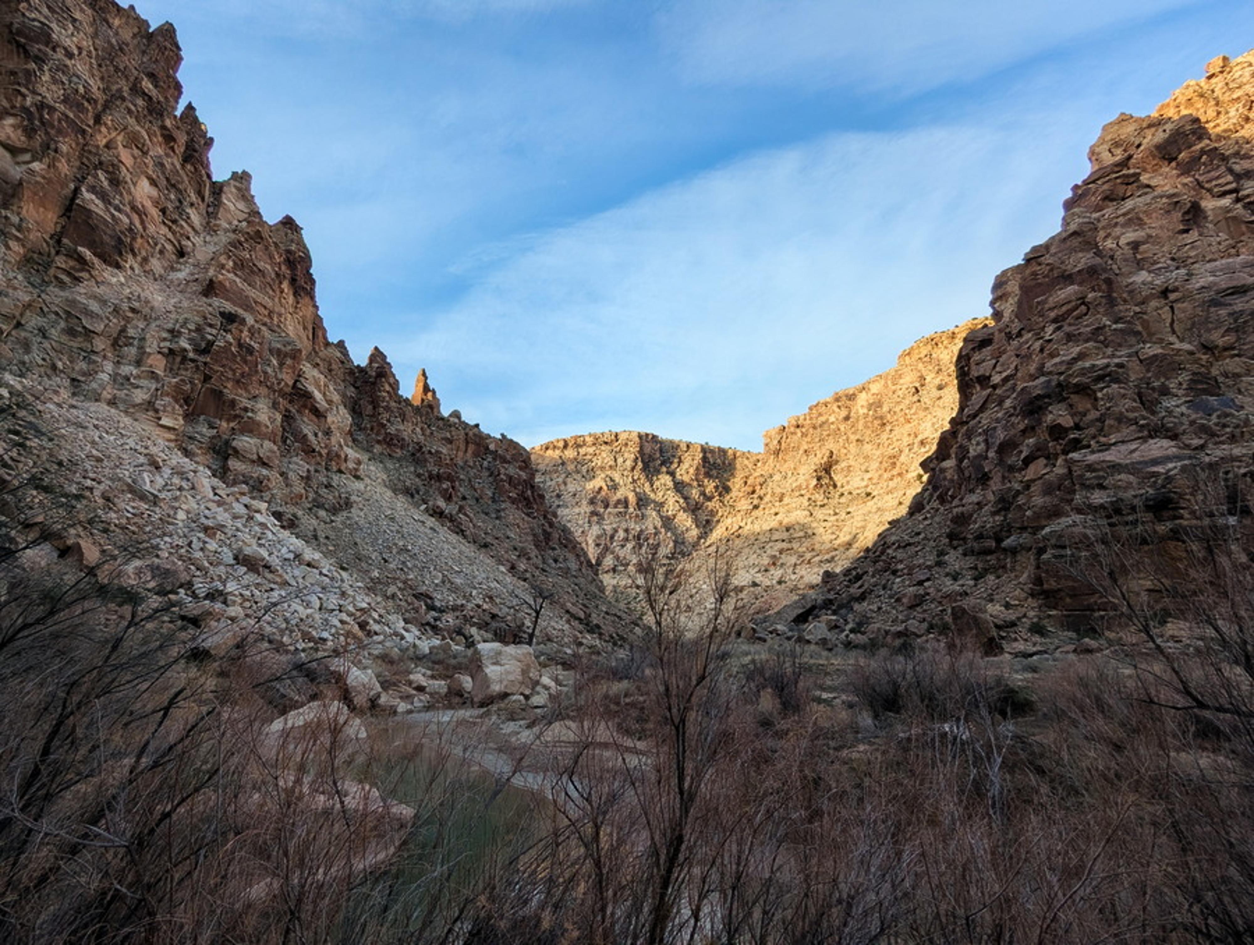 Morning light in the gorge. 