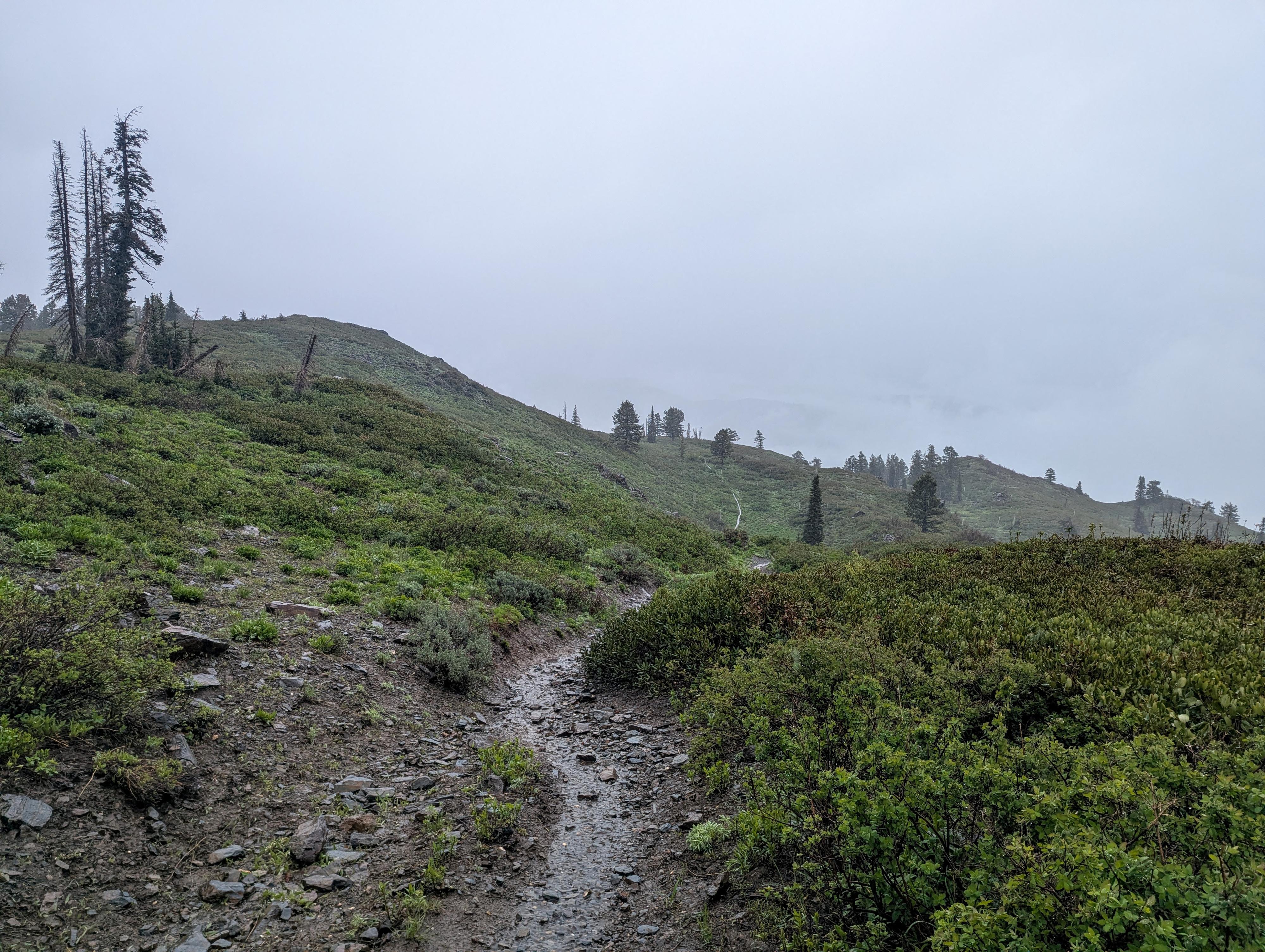 Visiting on a very wet, cloudy day, about 1/2 way down on the return trip. 
