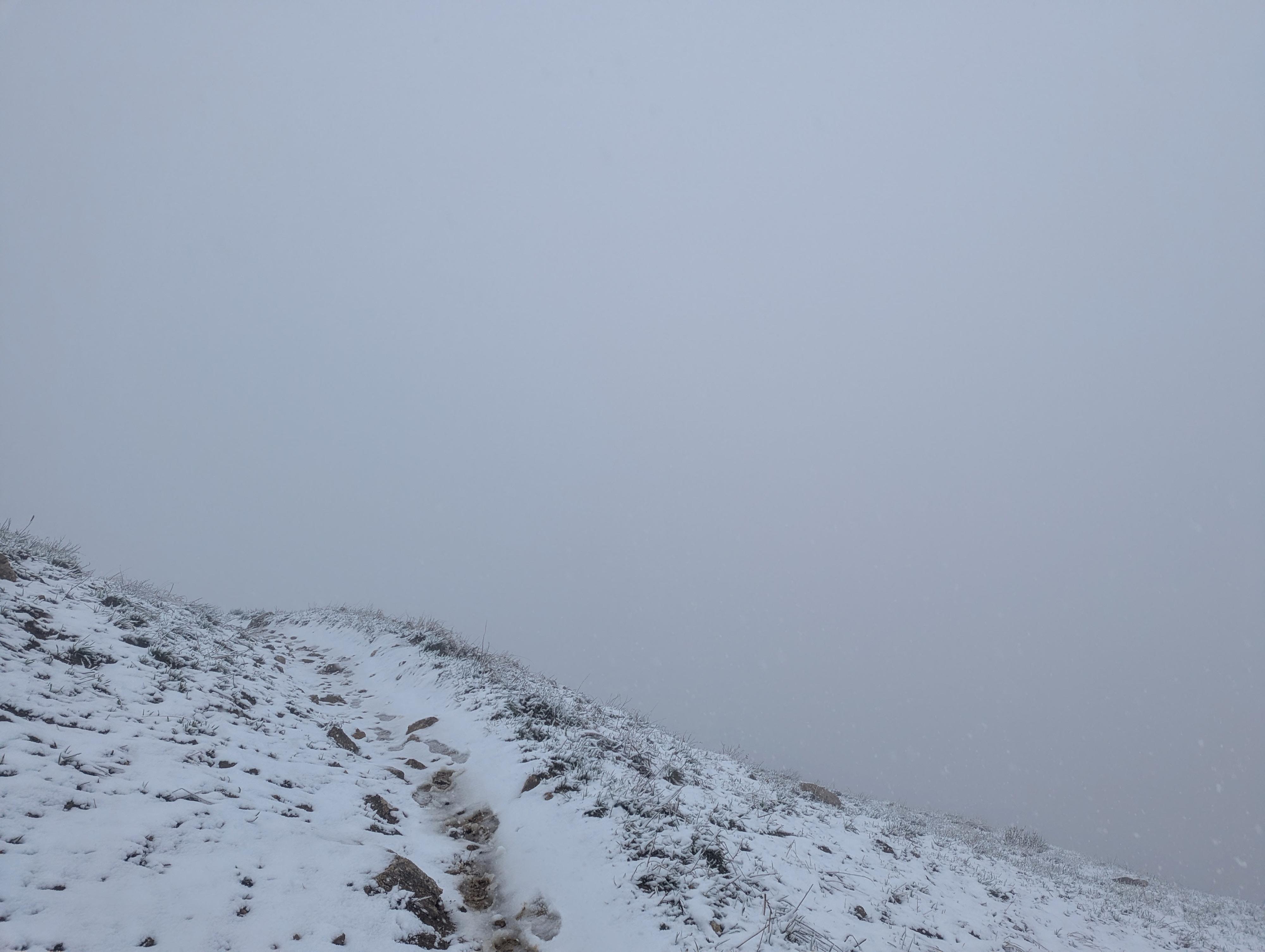 "Views" on an end of May summit. Rain below 9,000', snow and wind above. Not great views, but a great adventure!