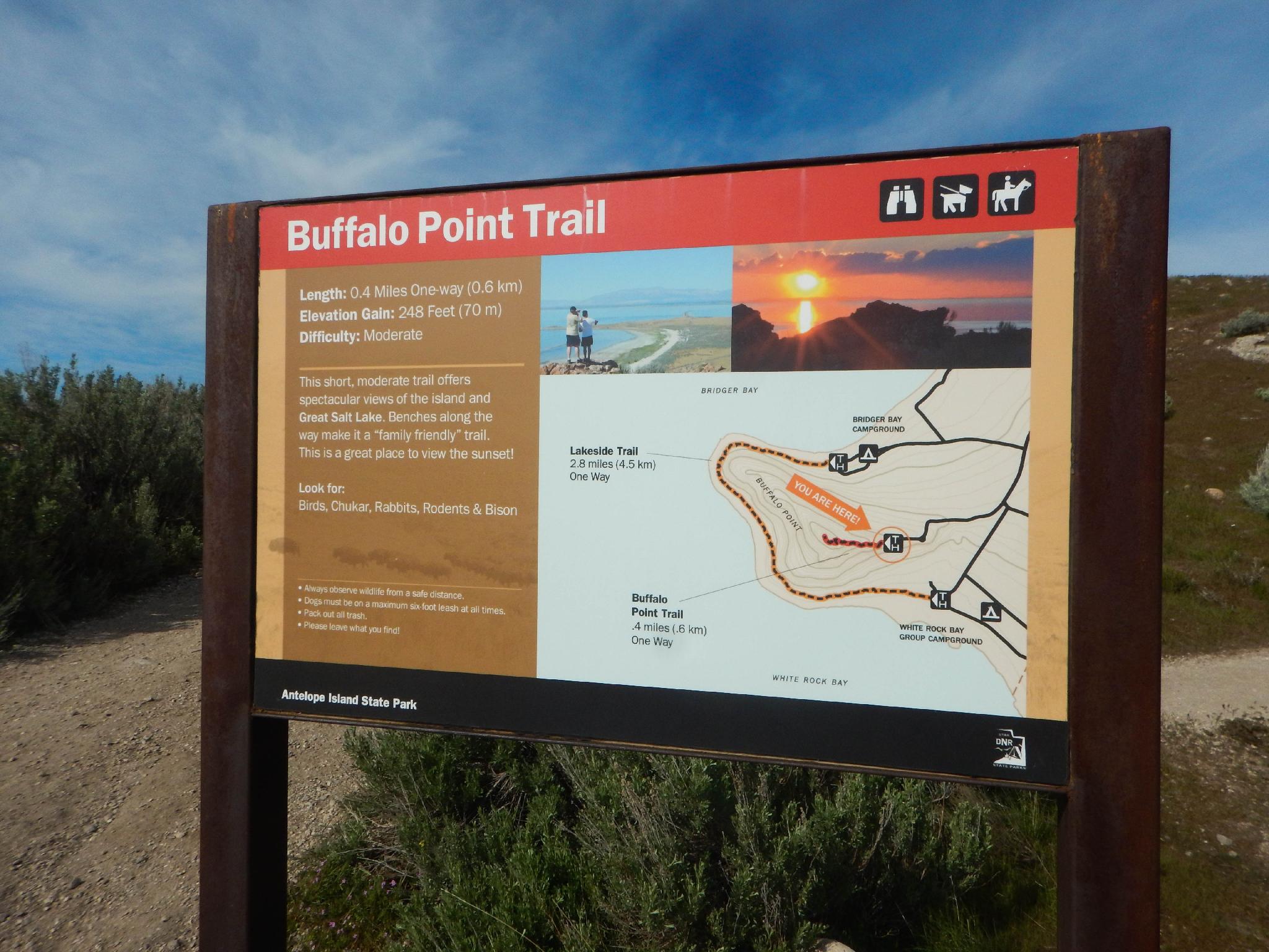 are dogs allowed on antelope island