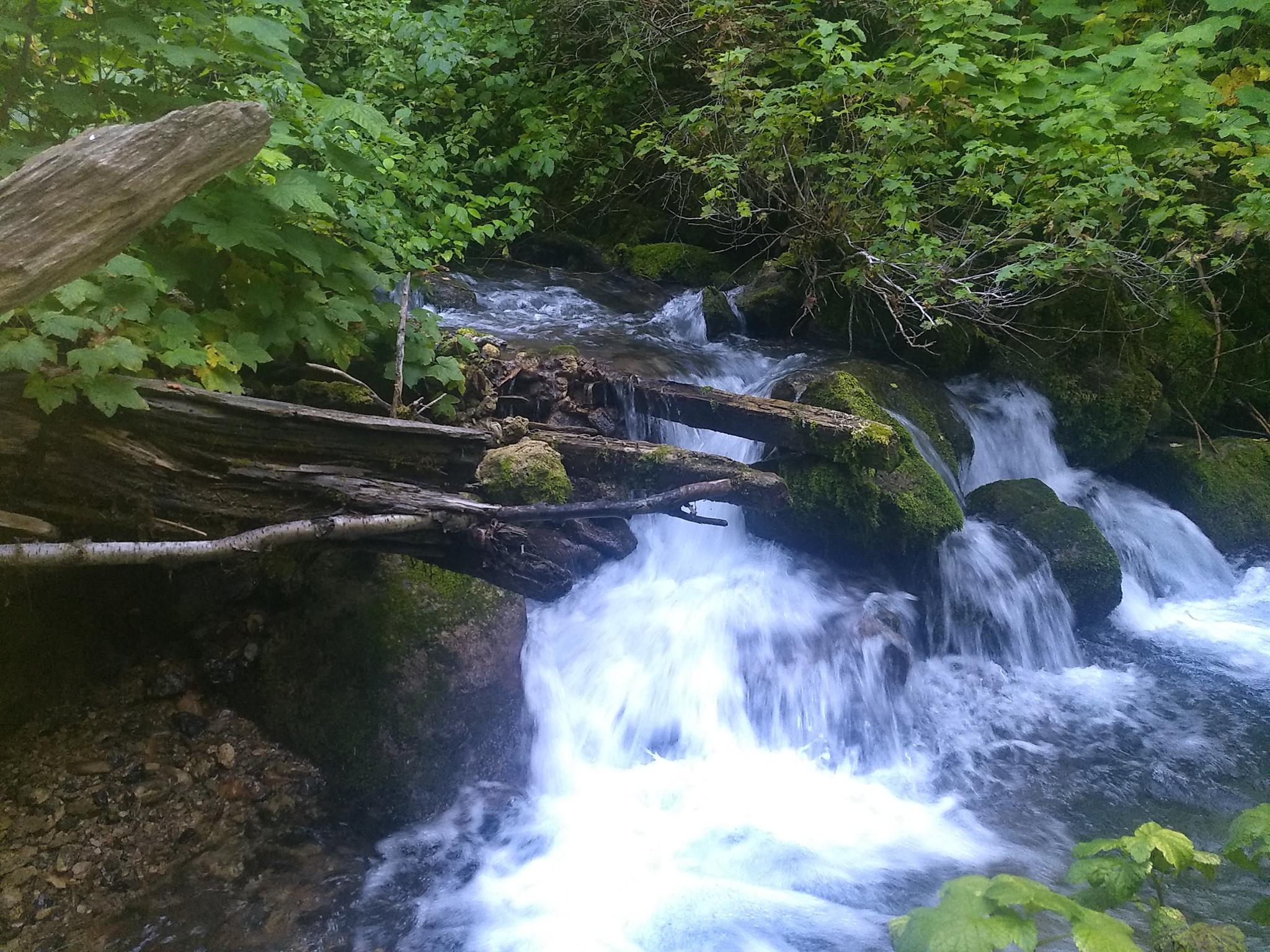 salt lake city creek