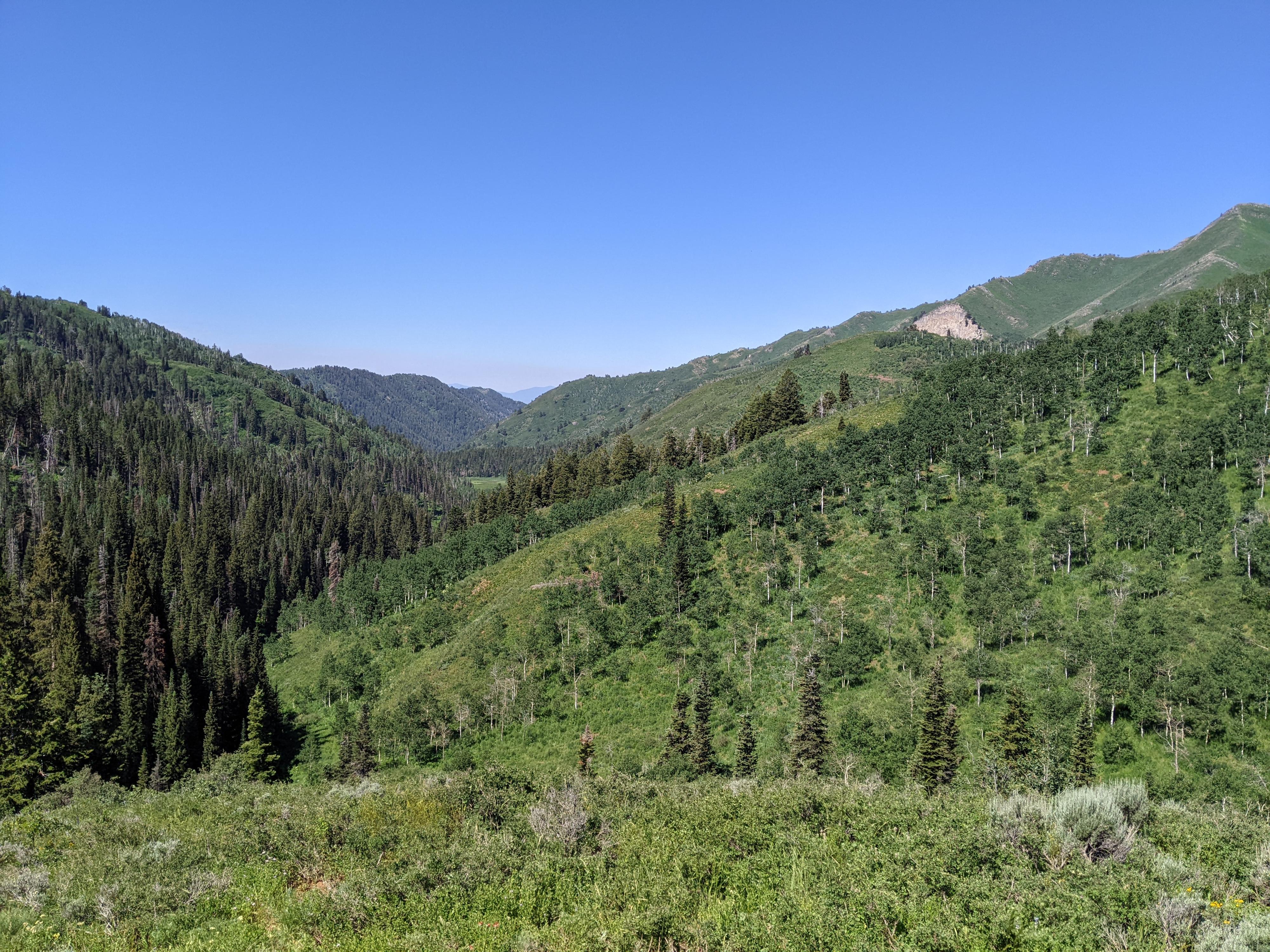 Hiking City Creek Canyon - Salt Lake City - Road Trip Ryan