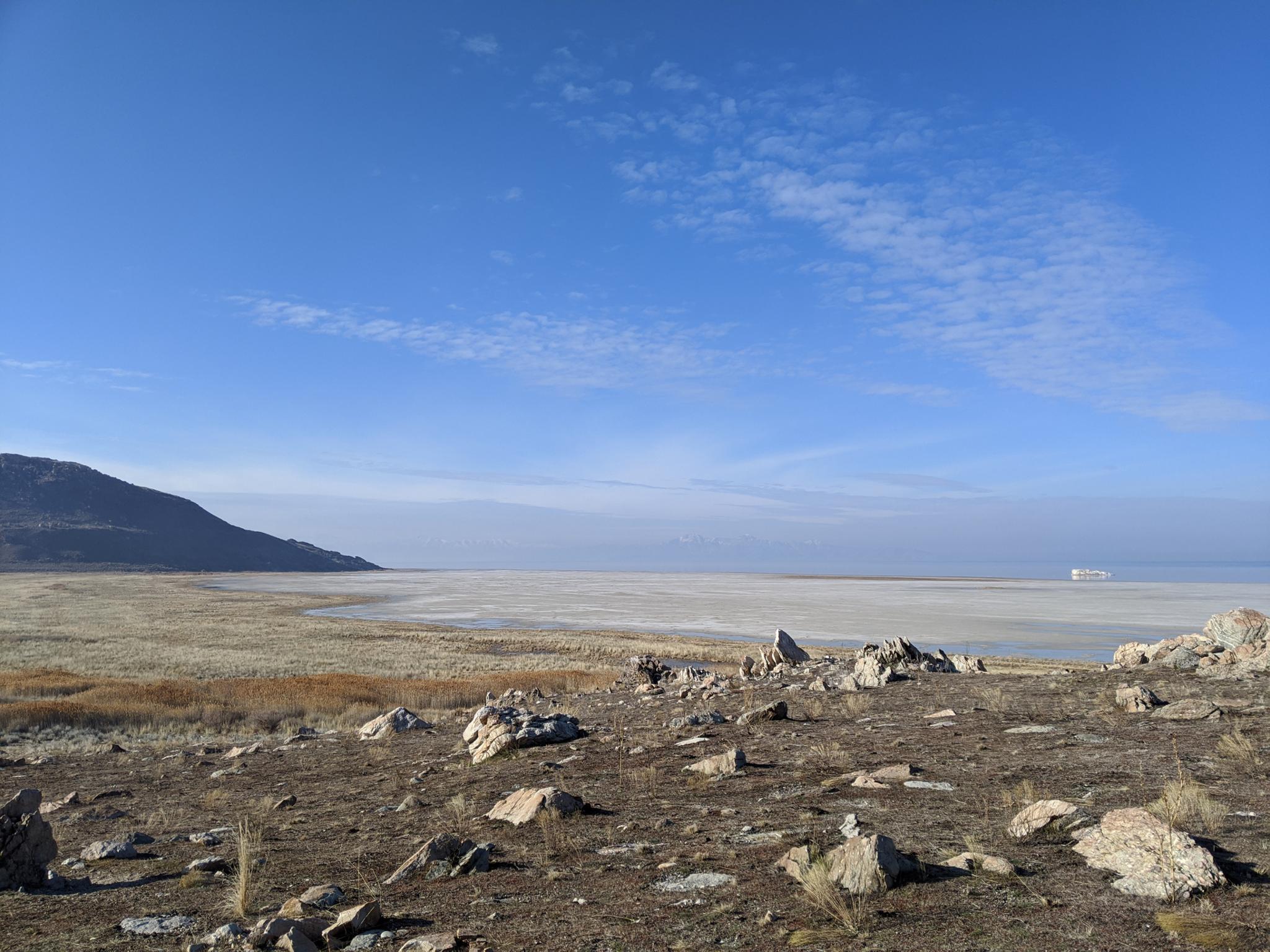 are dogs allowed on antelope island