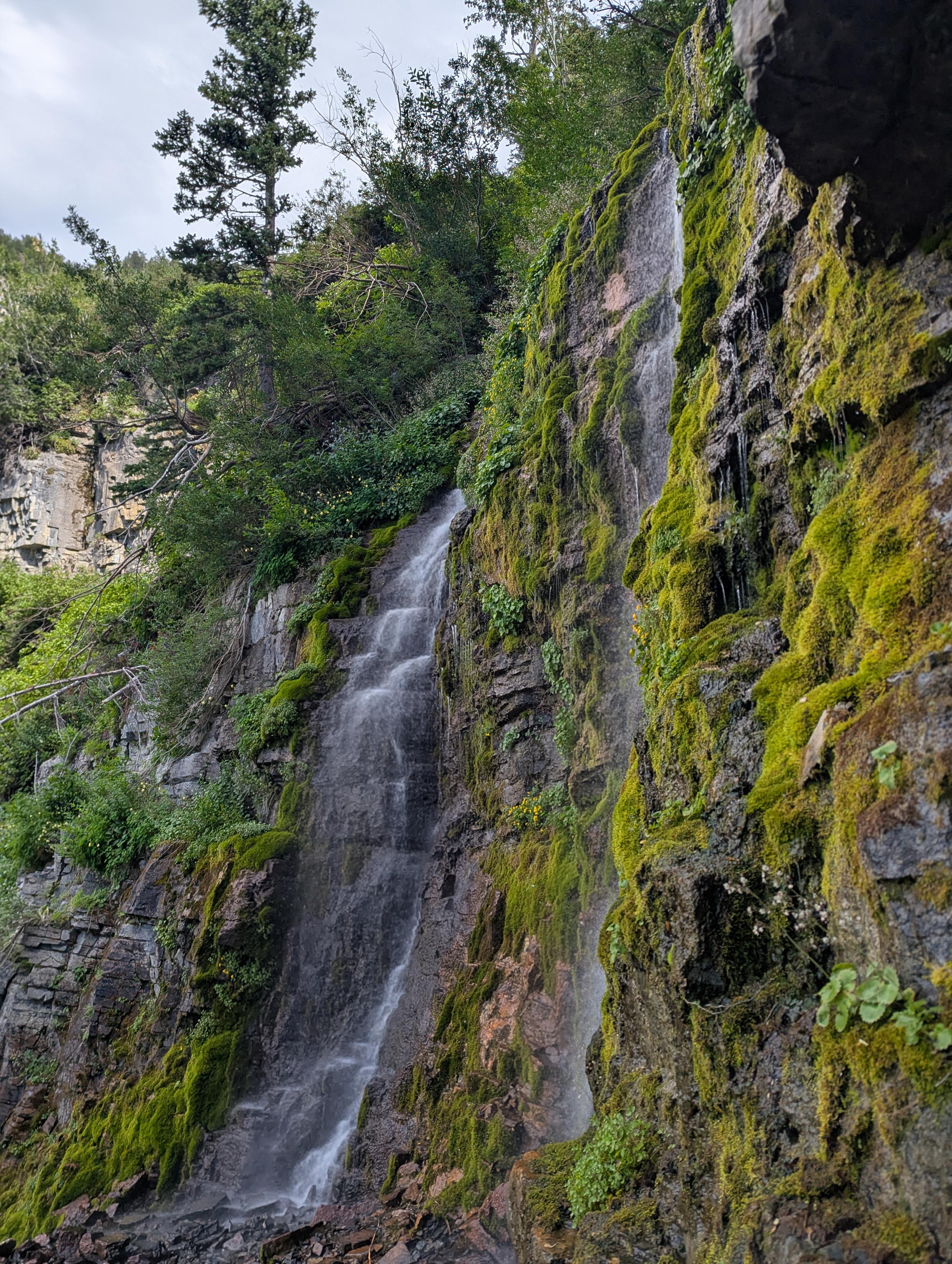 Scout Falls in late summer. 