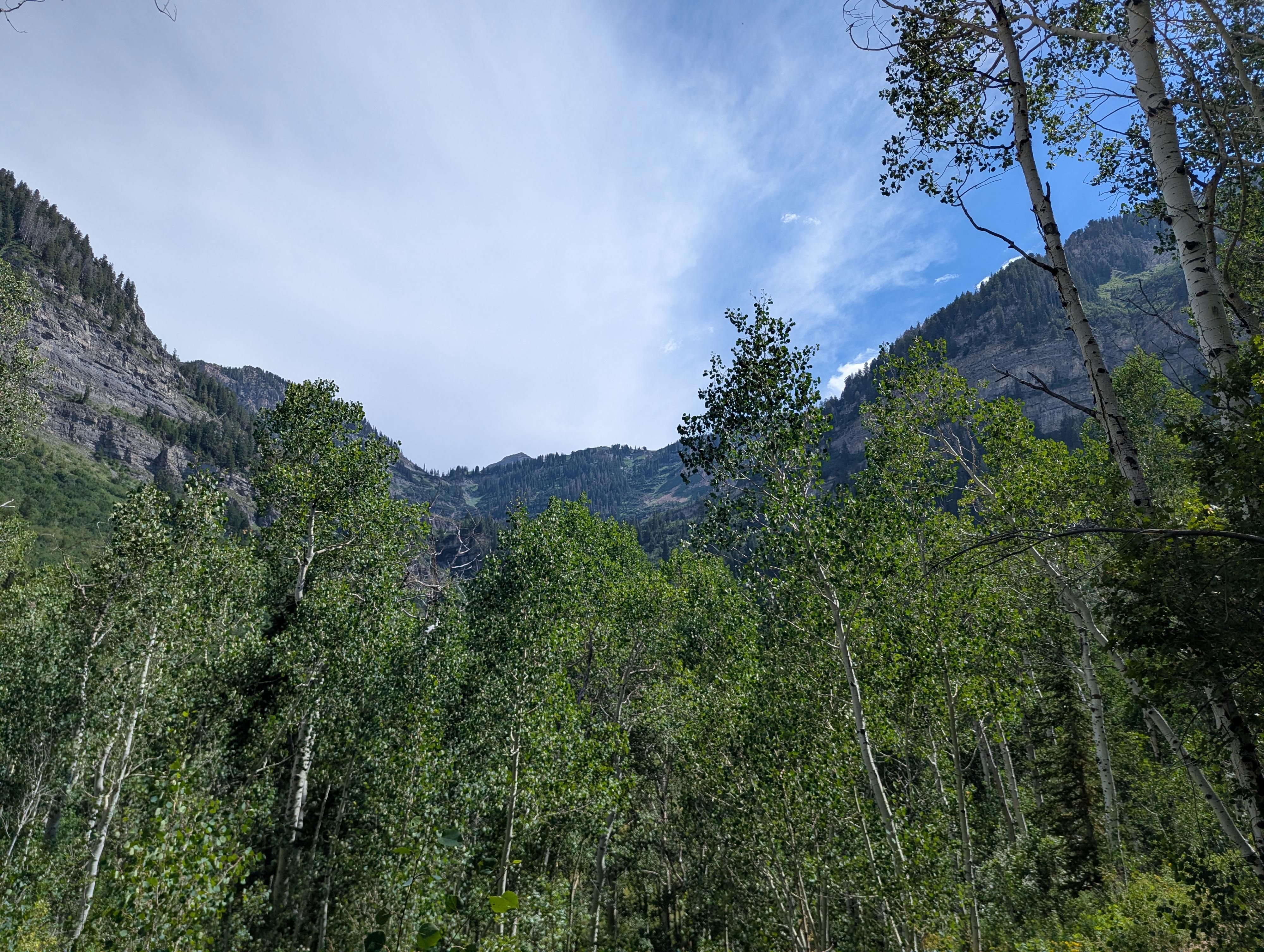 Looking up from near the trailhead.