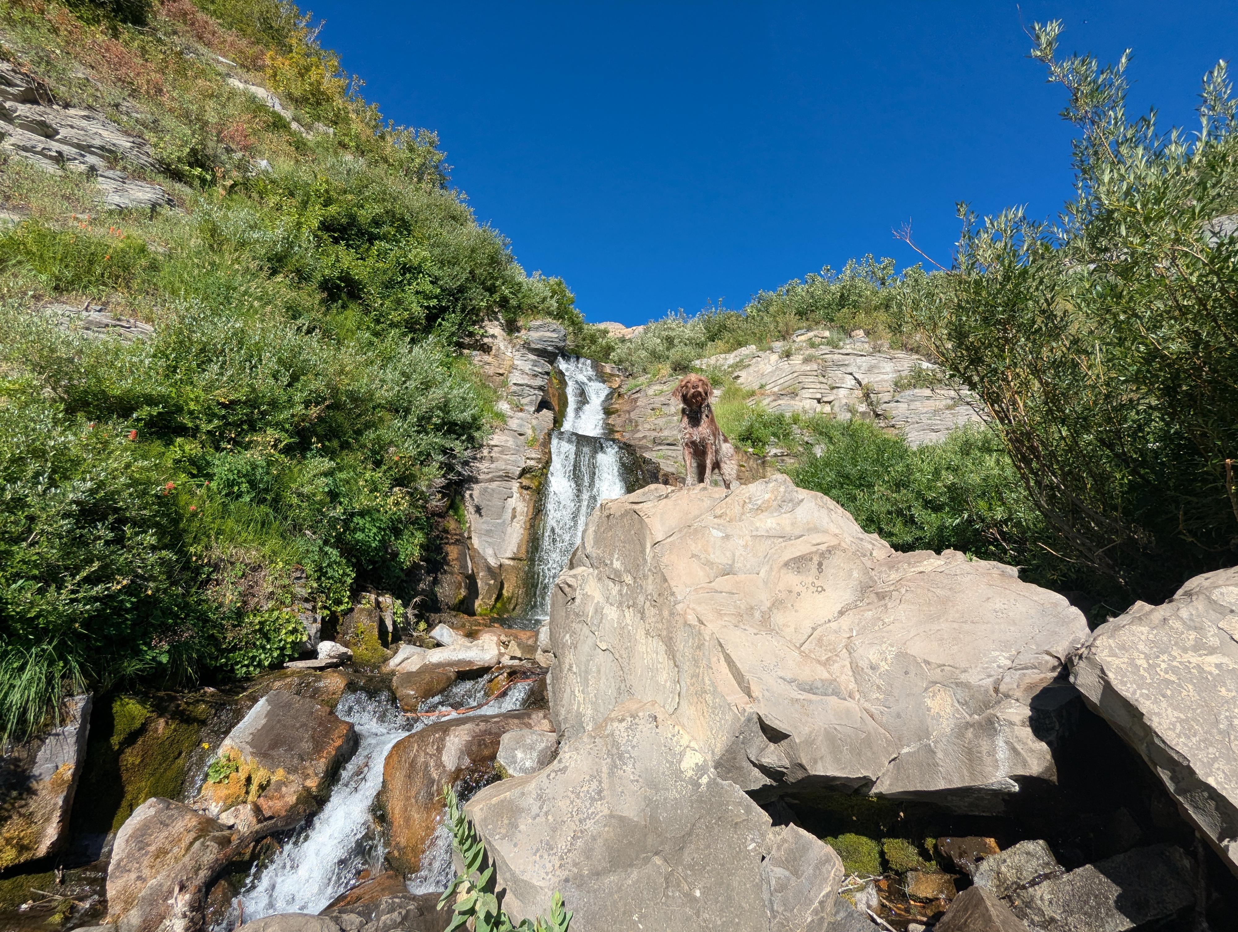 Abby at the Lower Falls on Mt. Timpanogos