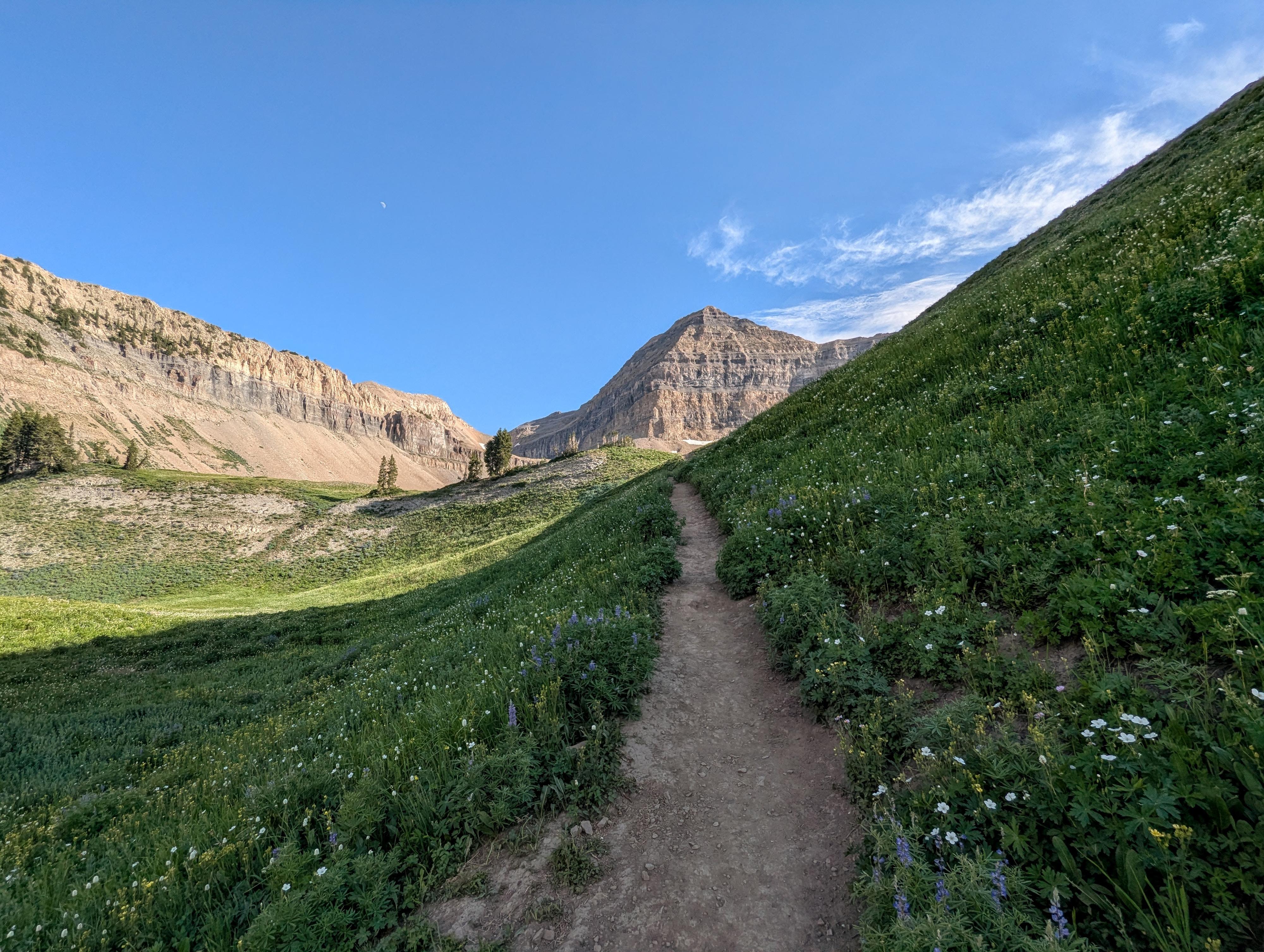 Timpanogos from Timpanogos Basin