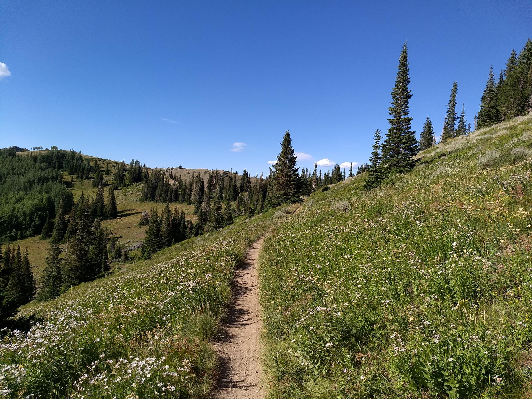 Hiking Wasatch Crest Big Cottonwood Canyon Road Trip Ryan