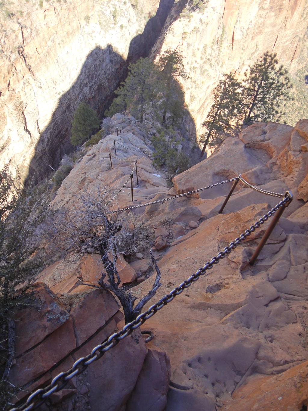 The chains on Angels Landing - Angels Landing - Zion Main Canyon - Road Trip Ryan