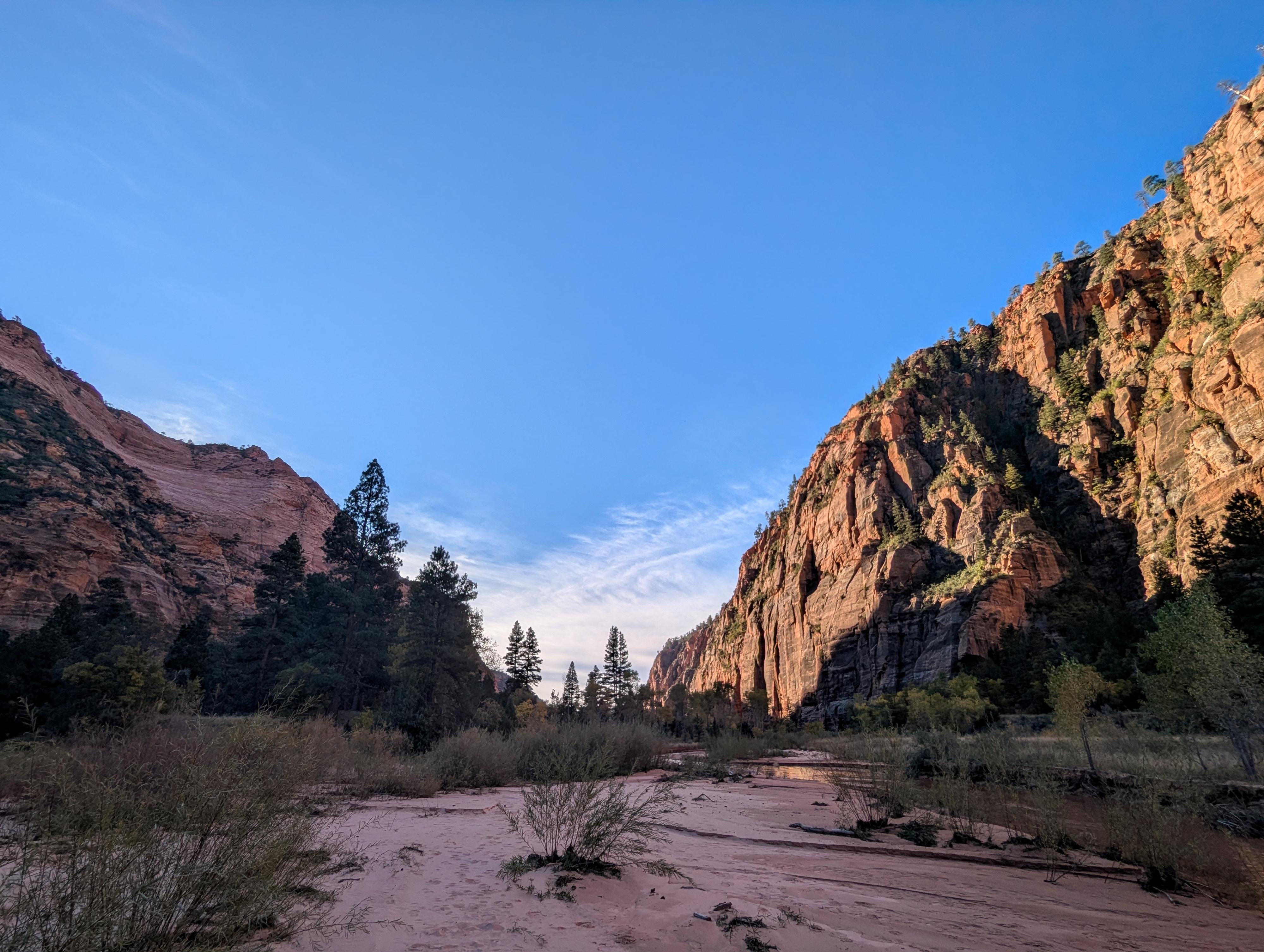 Morning light in the lower end of Hop Valley