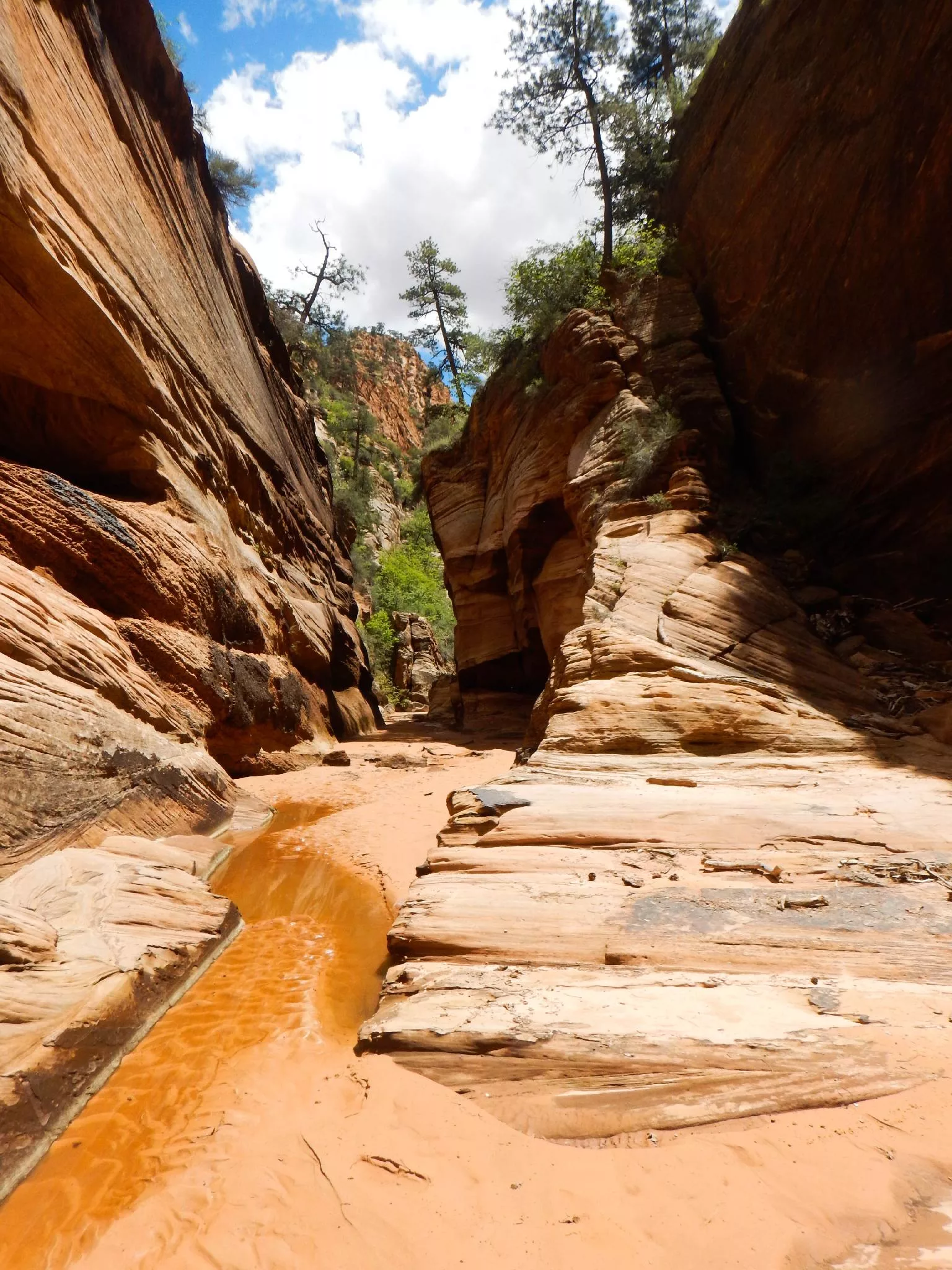 water-canyon-water-canyon-hildale-road-trip-ryan