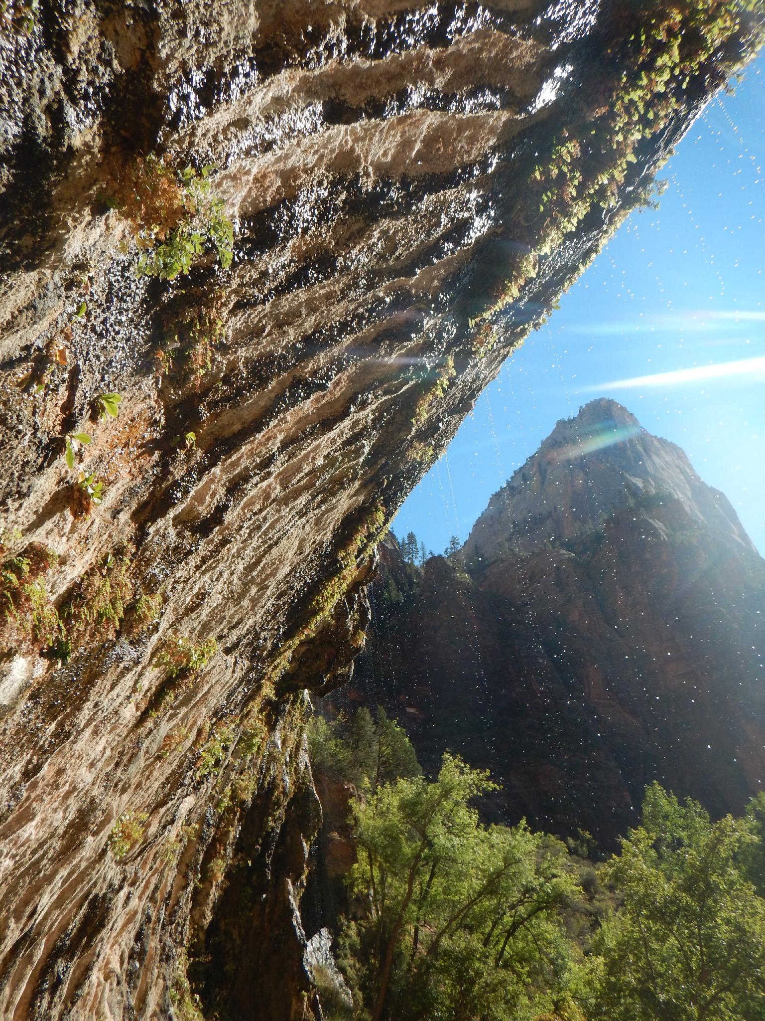 Hiking Weeping Rock Zion Main Canyon Road Trip Ryan