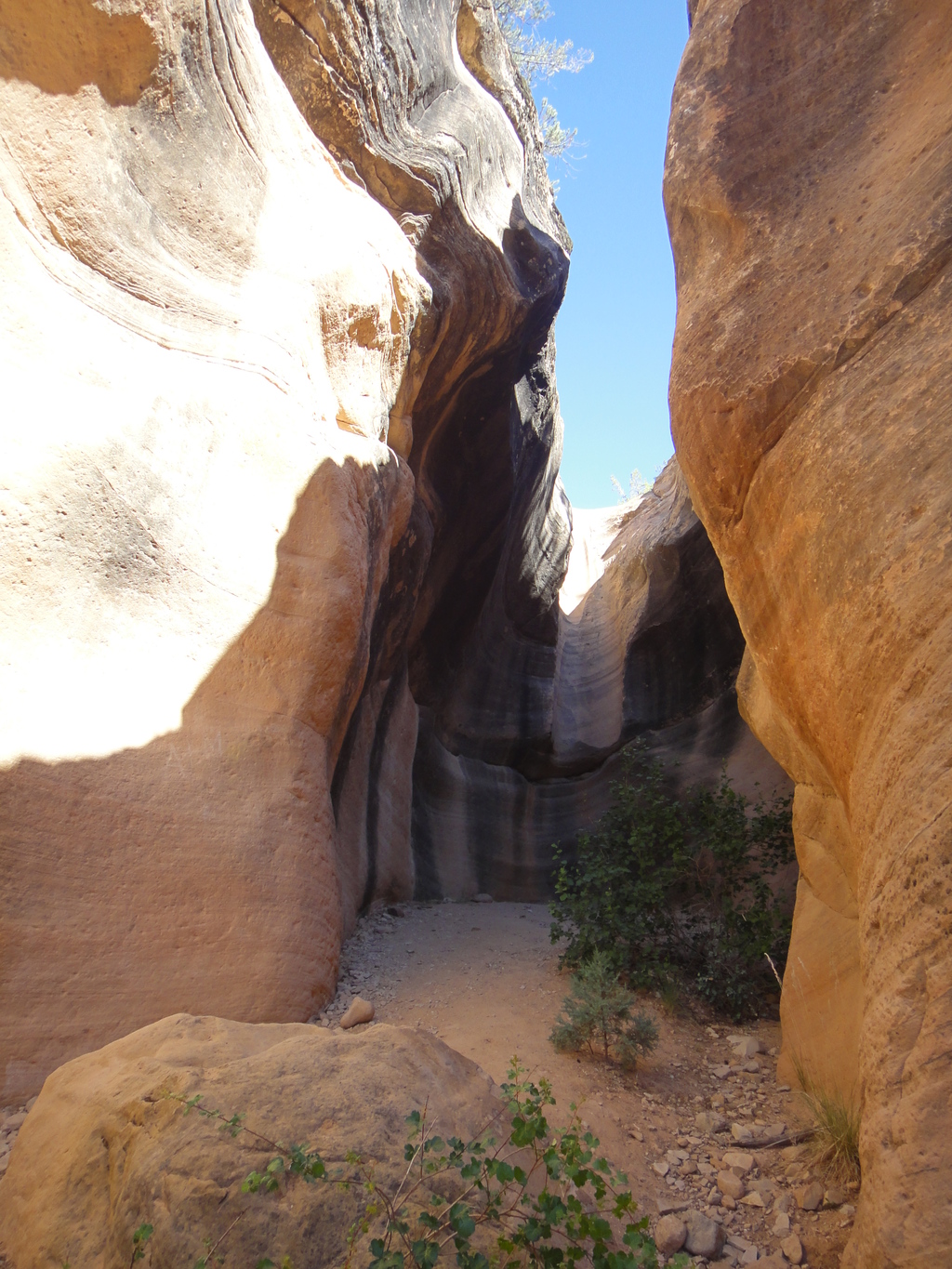 Canyoneering Yankee Doodle Canyon Leeds Road Trip Ryan