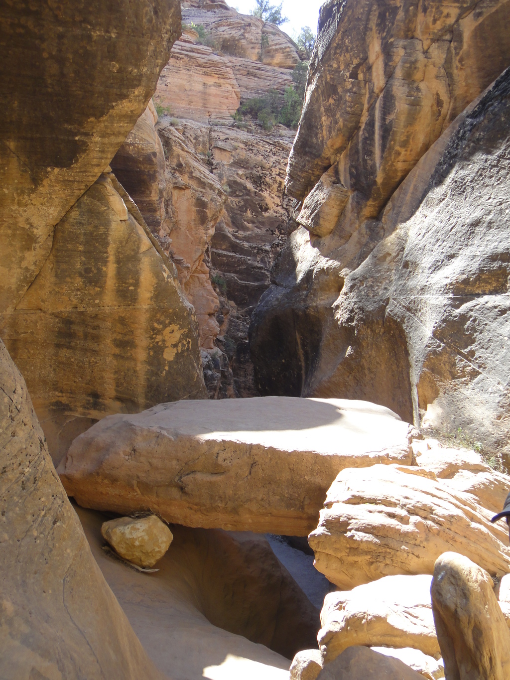 Canyoneering Yankee Doodle Canyon Leeds Road Trip Ryan