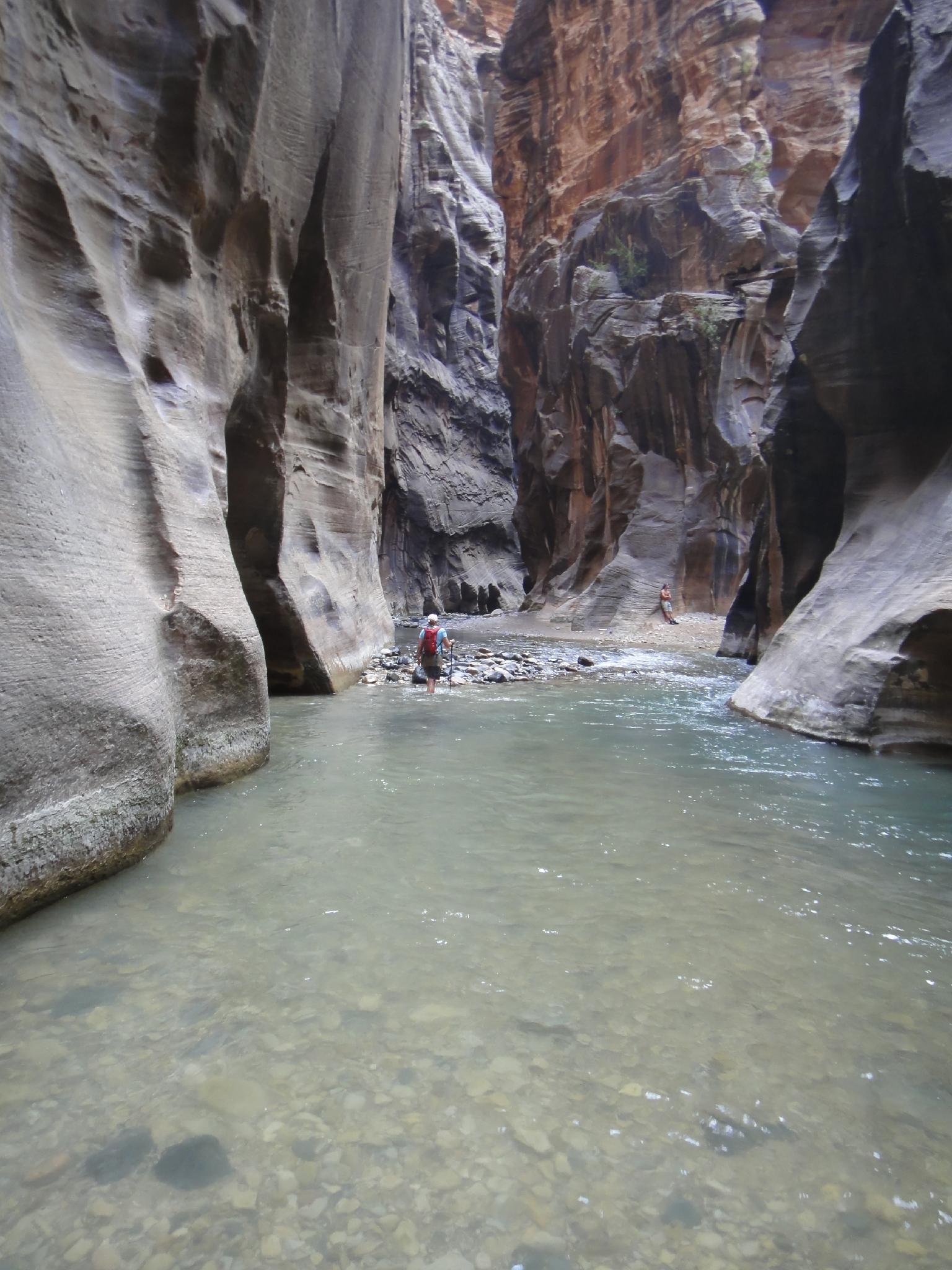 Hiking Zion Narrows From the Bottom Zion Main Canyon Road Trip Ryan